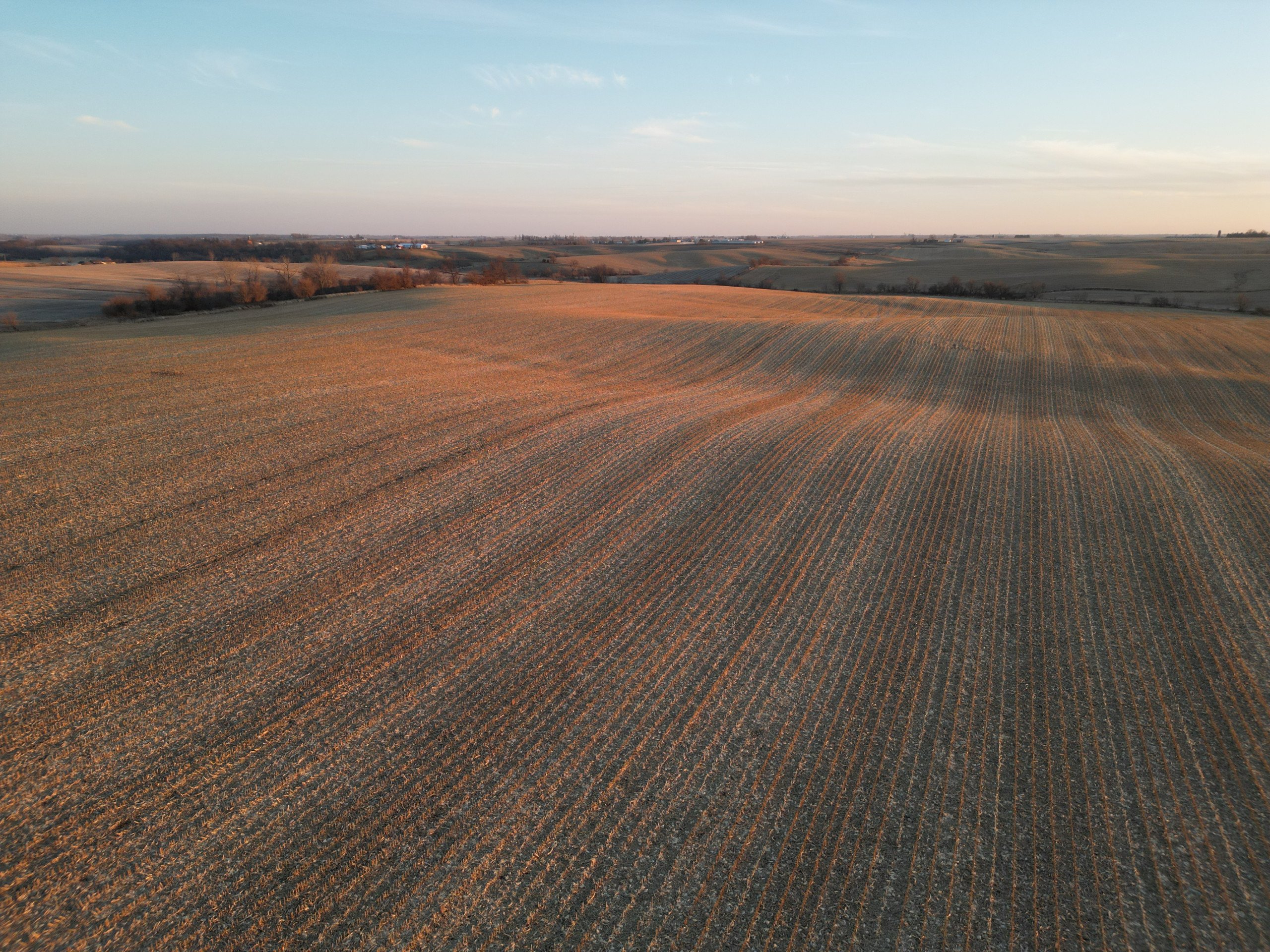 Jasper County Iowa Farmland for Sale