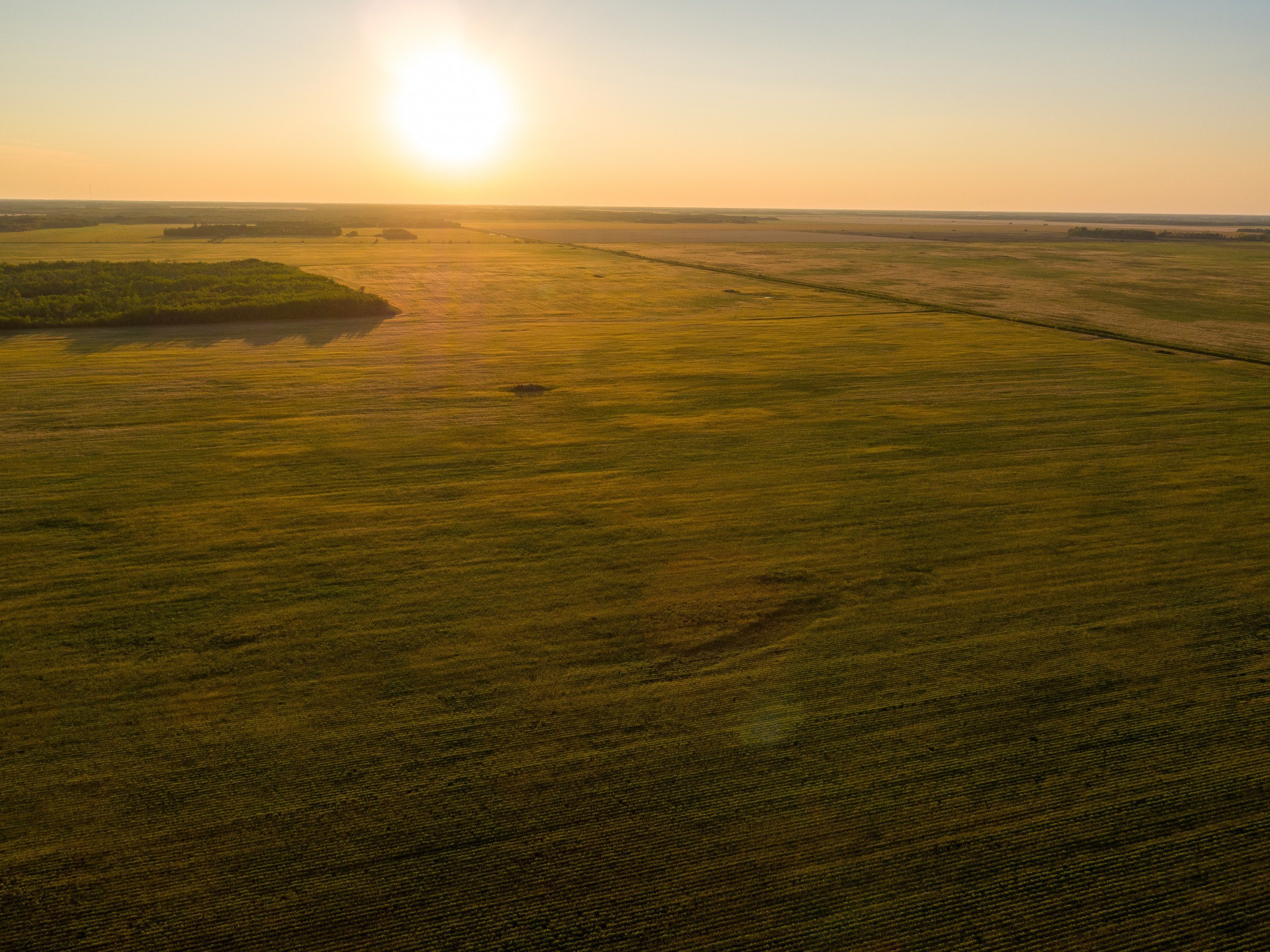 land-marshall-county-minnesota-0-acres-listing-number-16545-16087-photo-land-minnesota-580-acres-listing-number-16087-dji-0004-0jpg-0.jpg