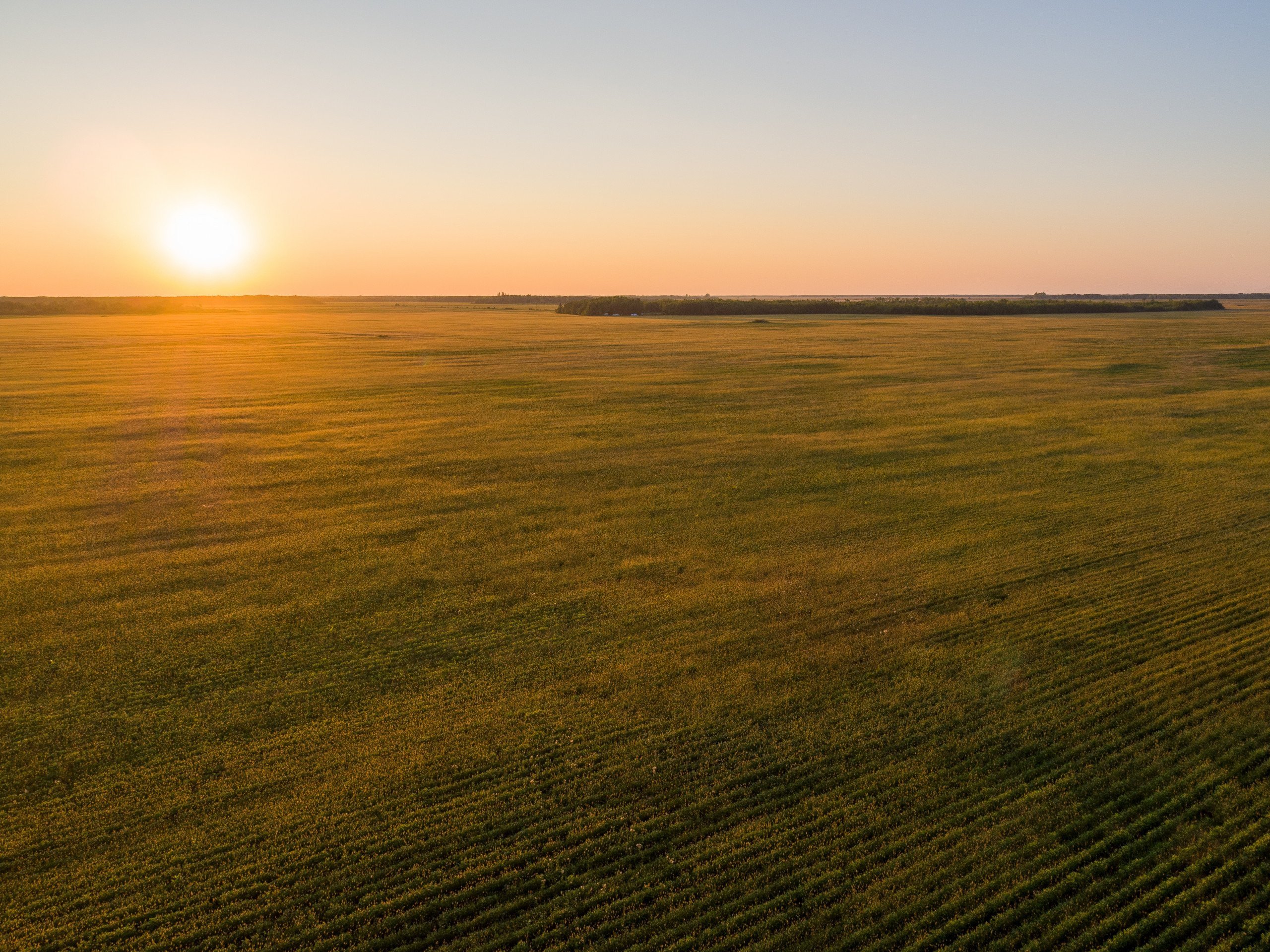 land-marshall-county-minnesota-0-acres-listing-number-16545-16087-photo-land-minnesota-580-acres-listing-number-16087-dji-0010-1jpg-0.jpg