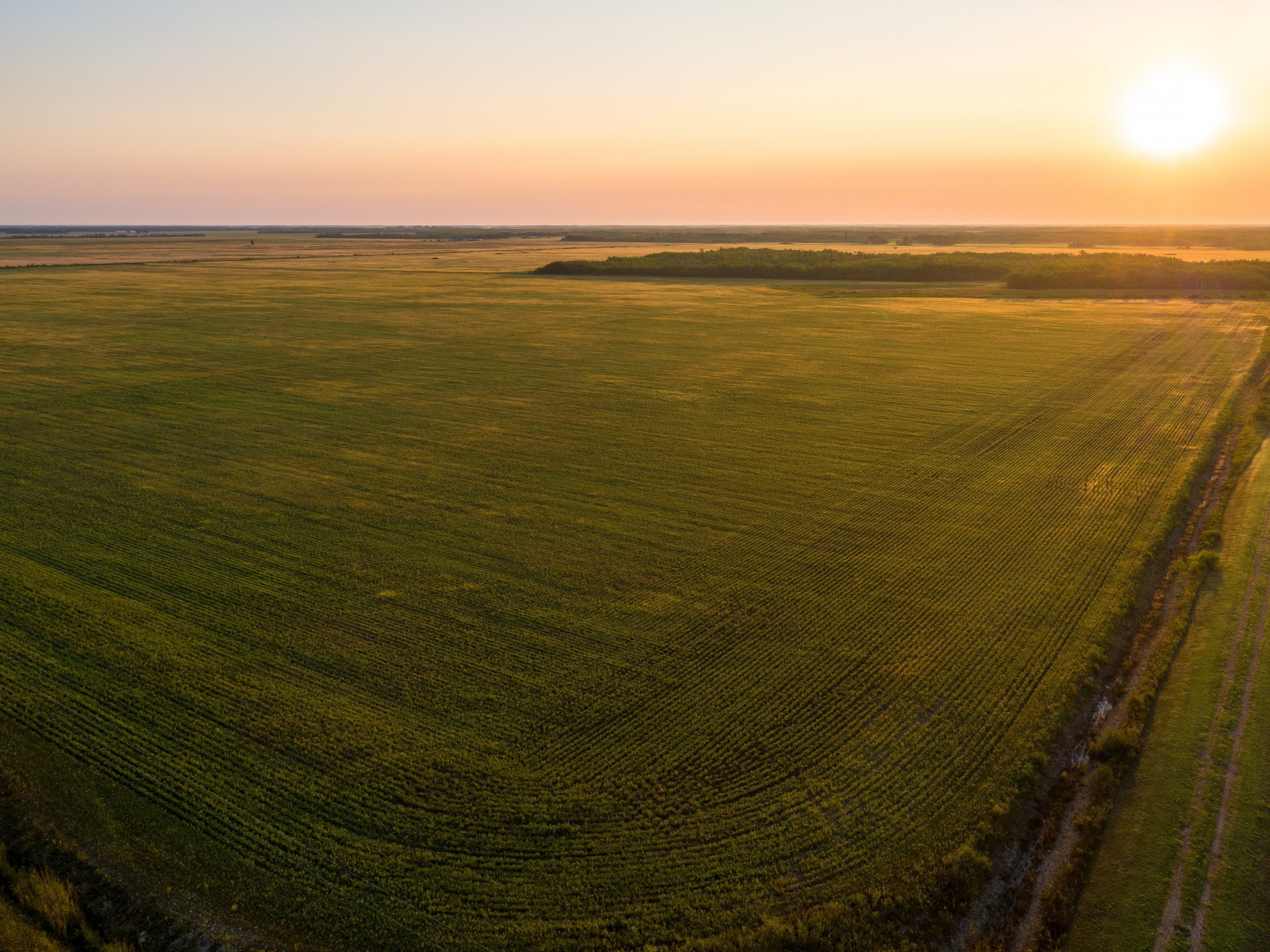 land-marshall-county-minnesota-0-acres-listing-number-16545-16087-photo-land-minnesota-580-acres-listing-number-16087-dji-0065-1jpg (1)-0.jpg