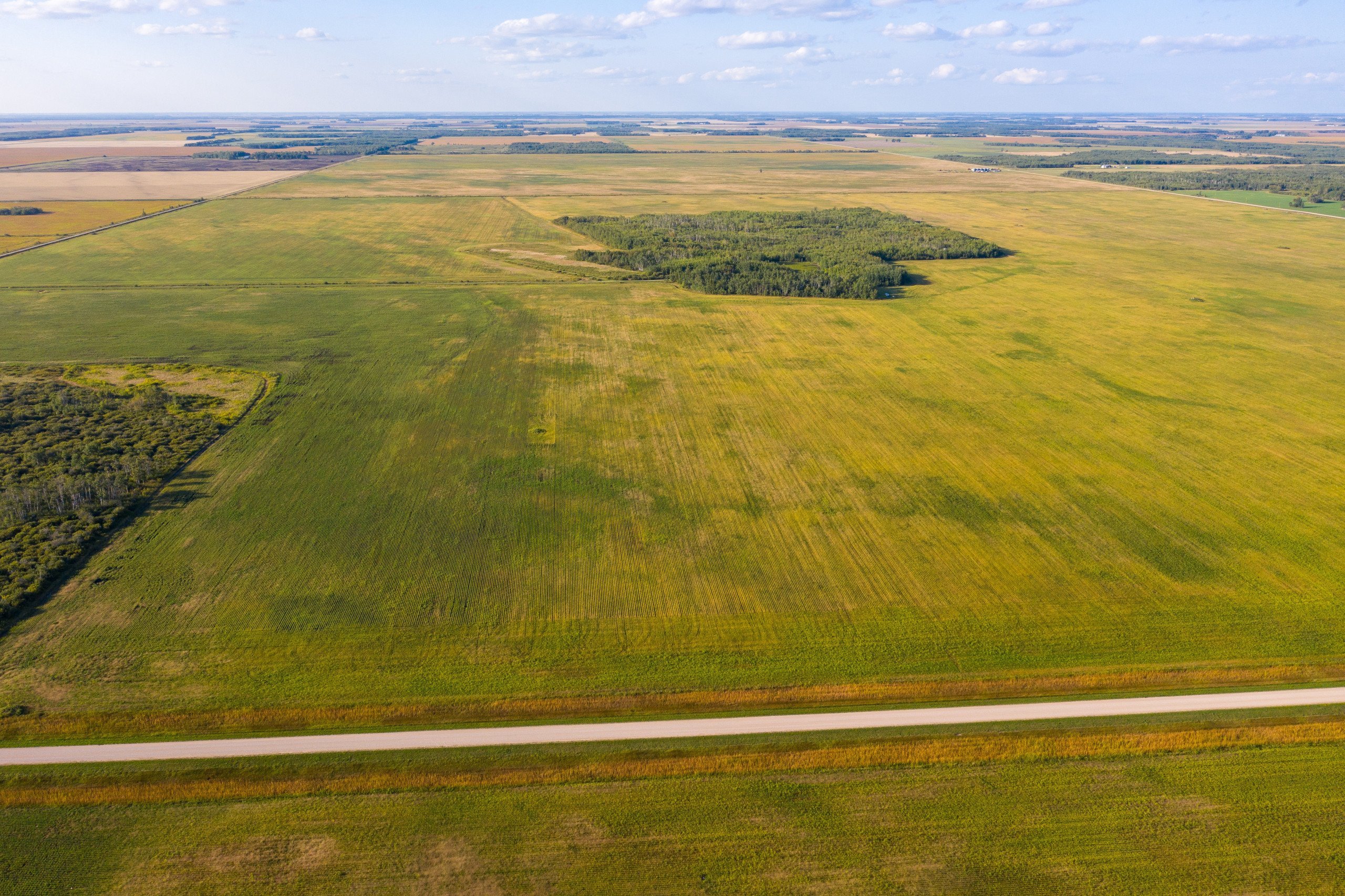 land-marshall-county-minnesota-0-acres-listing-number-16545-16087-photo-land-minnesota-580-acres-listing-number-16087-dji-0738-0jpg (1)-0.jpg