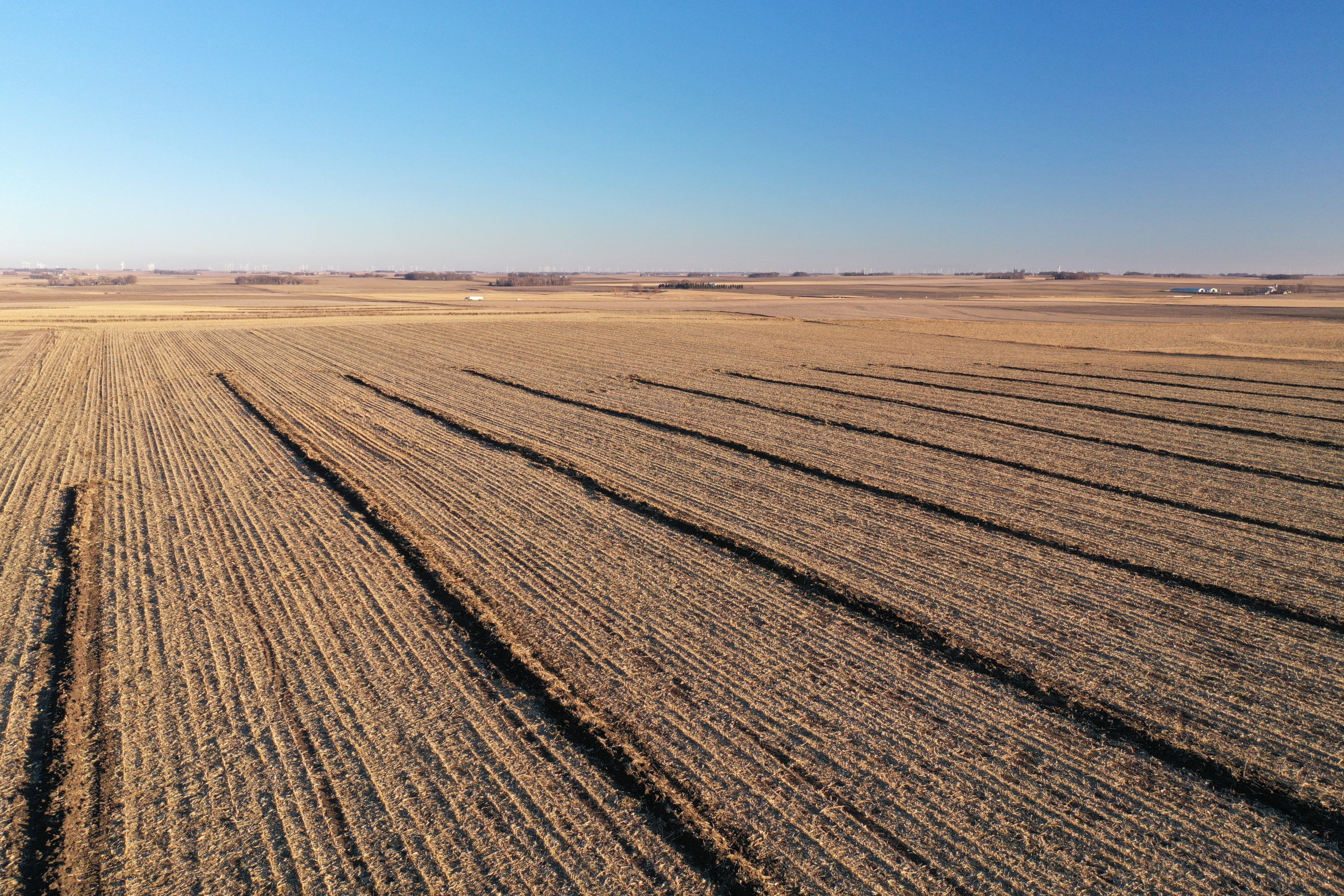 auctions-land-obrien-county-iowa-41-acres-listing-number-16552-DJI_0151-0.jpg