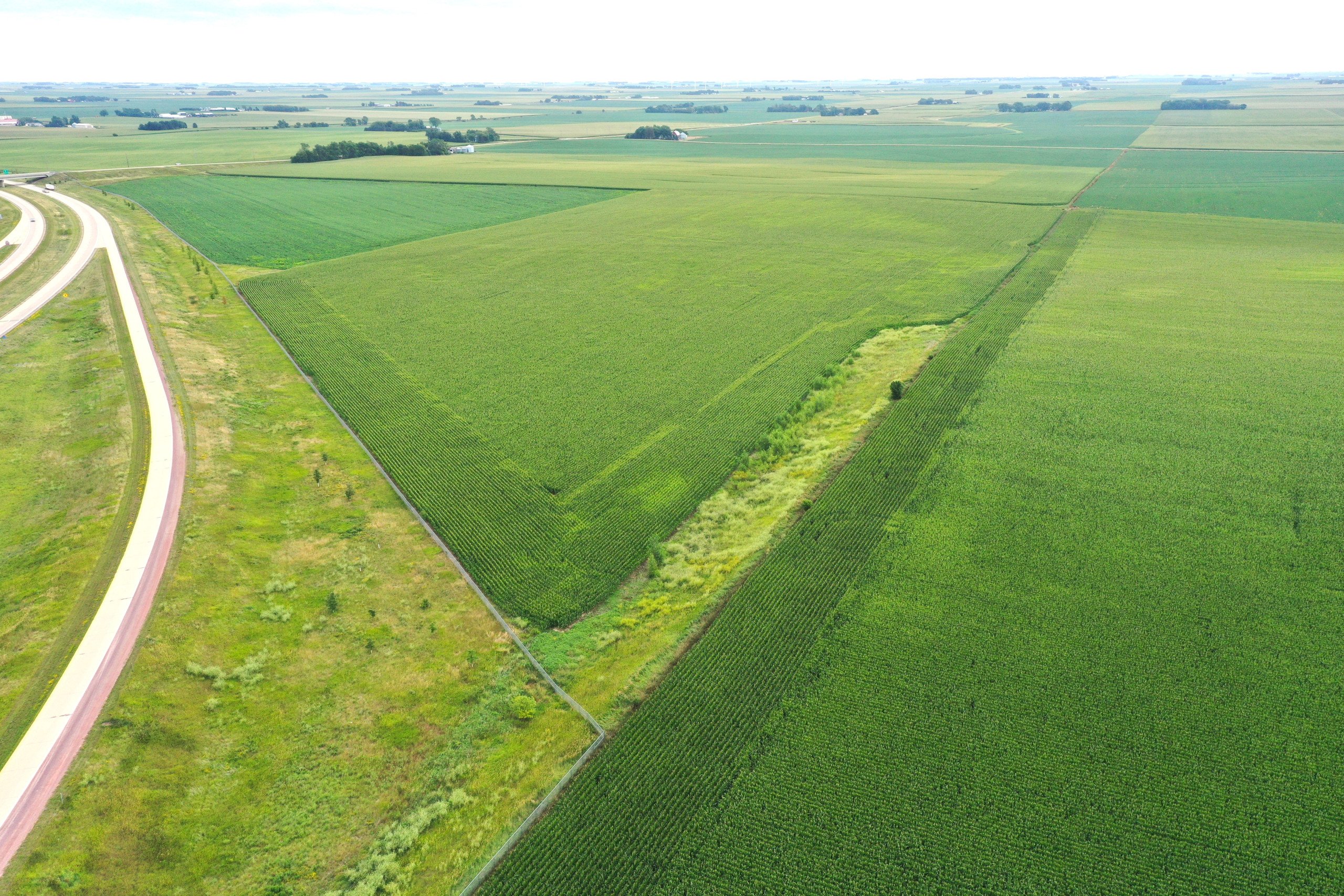 auctions-land-obrien-county-iowa-41-acres-listing-number-16552-DJI_0397-2.jpg