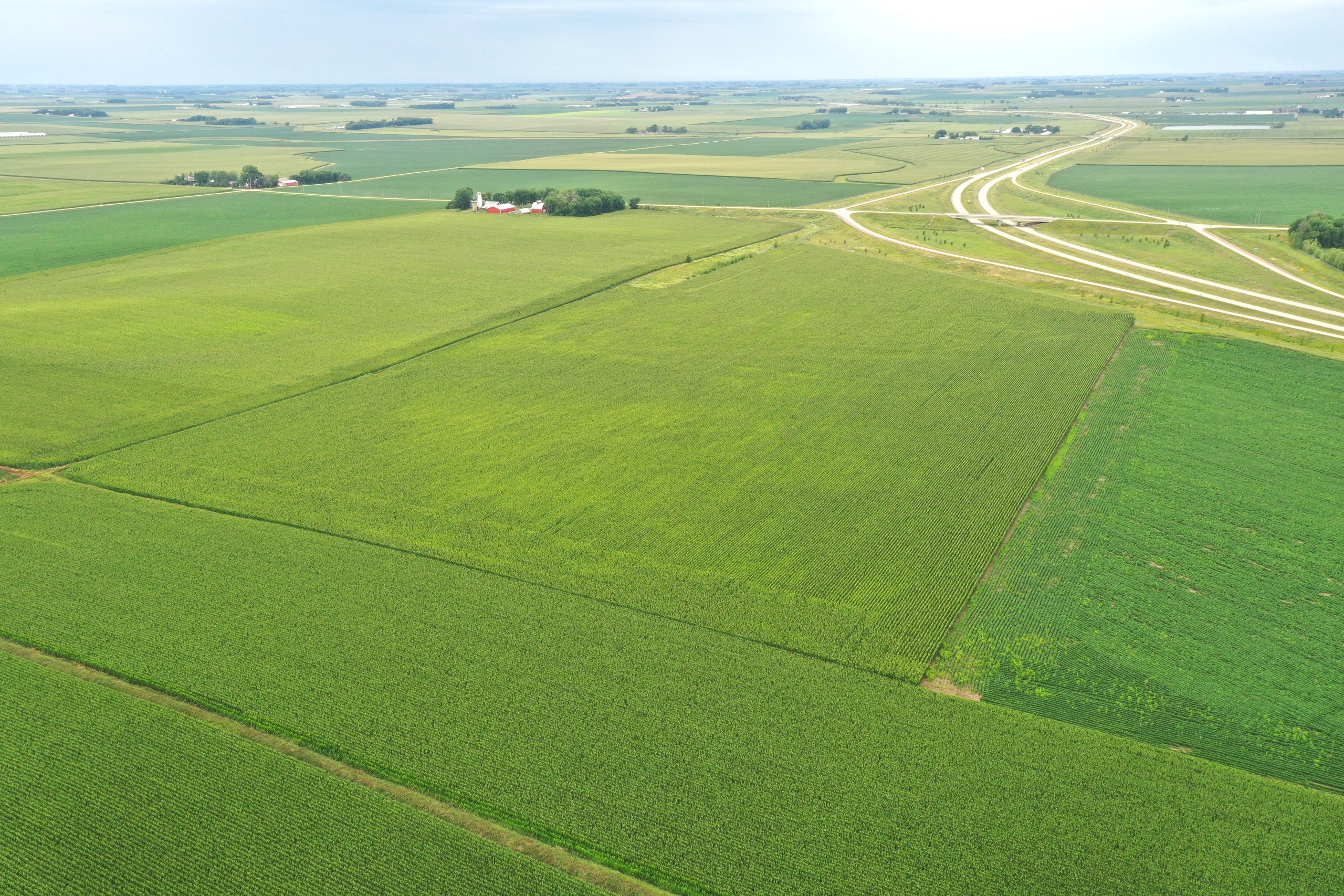 auctions-land-obrien-county-iowa-41-acres-listing-number-16552-DJI_0401-3.jpg