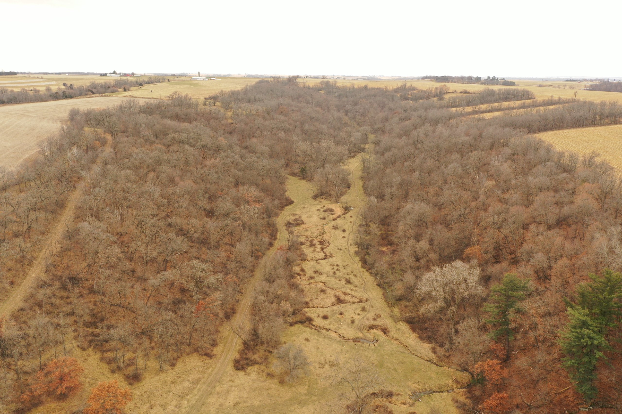 land-grant-county-wisconsin-190-acres-listing-number-16554-DJI_0306-0.jpg