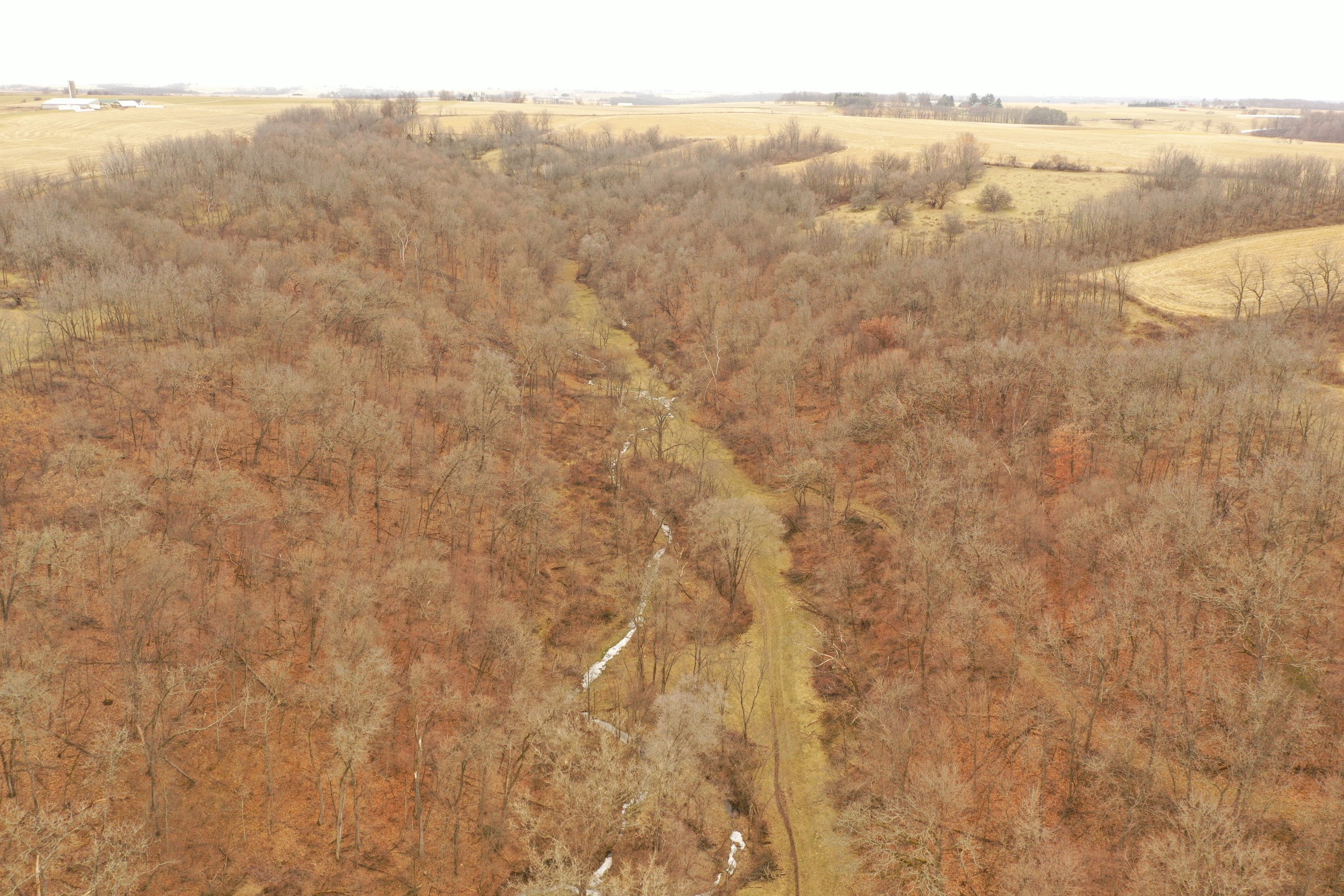 land-grant-county-wisconsin-190-acres-listing-number-16554-DJI_0308-0.jpg