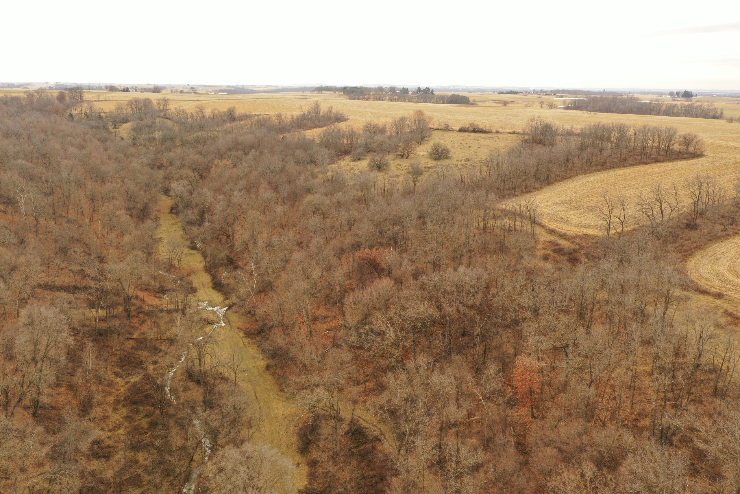 land-grant-county-wisconsin-190-acres-listing-number-16554-DJI_0310-1.jpg