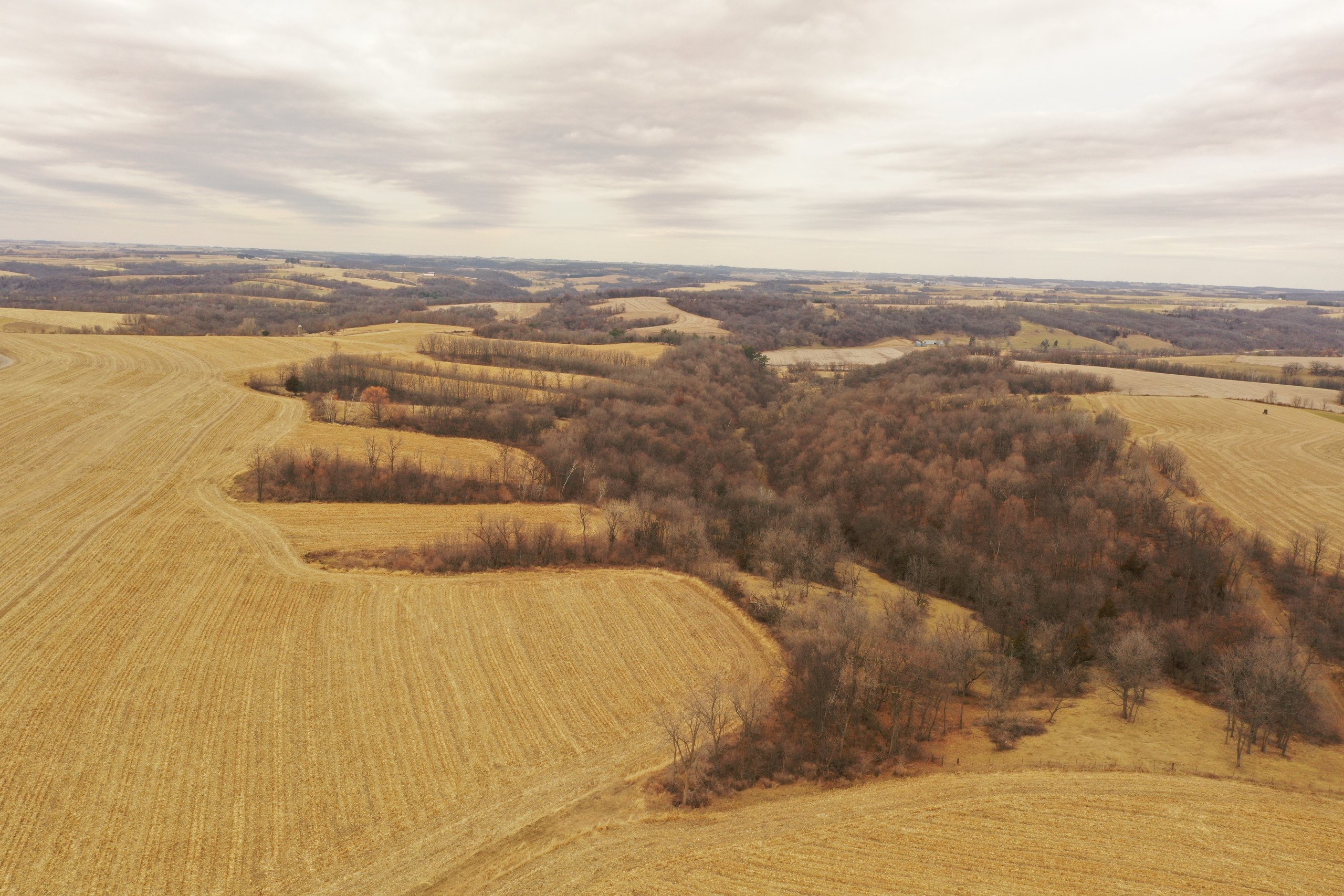 land-grant-county-wisconsin-190-acres-listing-number-16554-DJI_0323-1.jpg