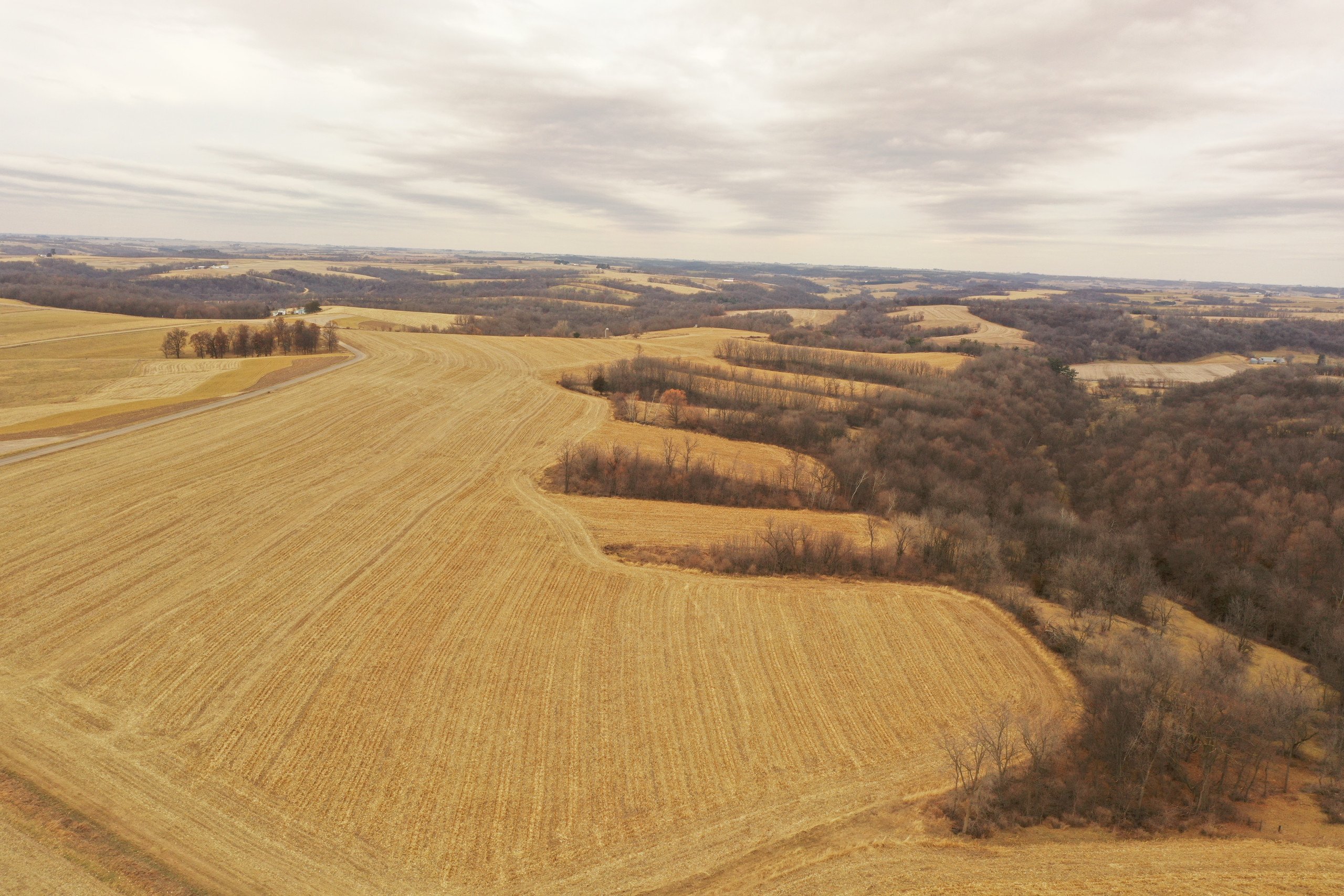 land-grant-county-wisconsin-190-acres-listing-number-16554-DJI_0324-2.jpg