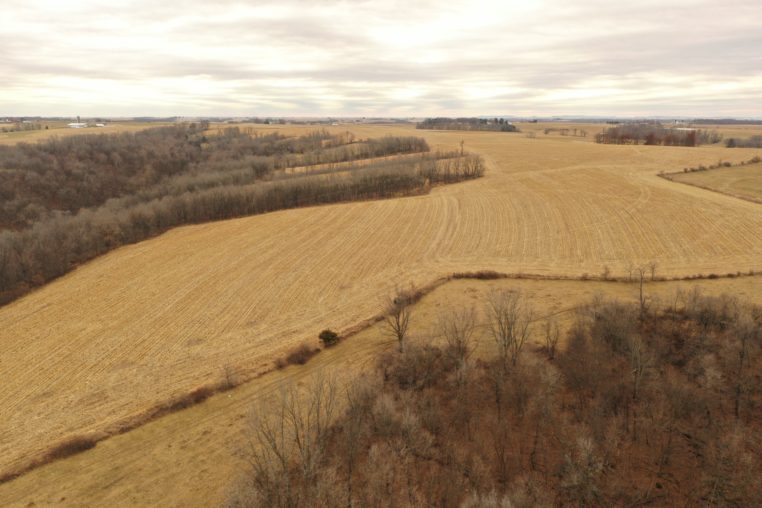 land-grant-county-wisconsin-190-acres-listing-number-16554-DJI_0328-3.jpg