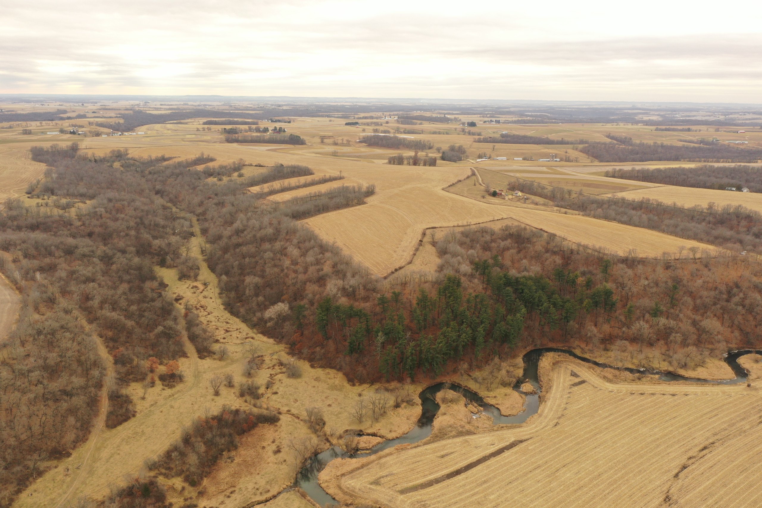 land-grant-county-wisconsin-190-acres-listing-number-16554-DJI_0333-3.jpg