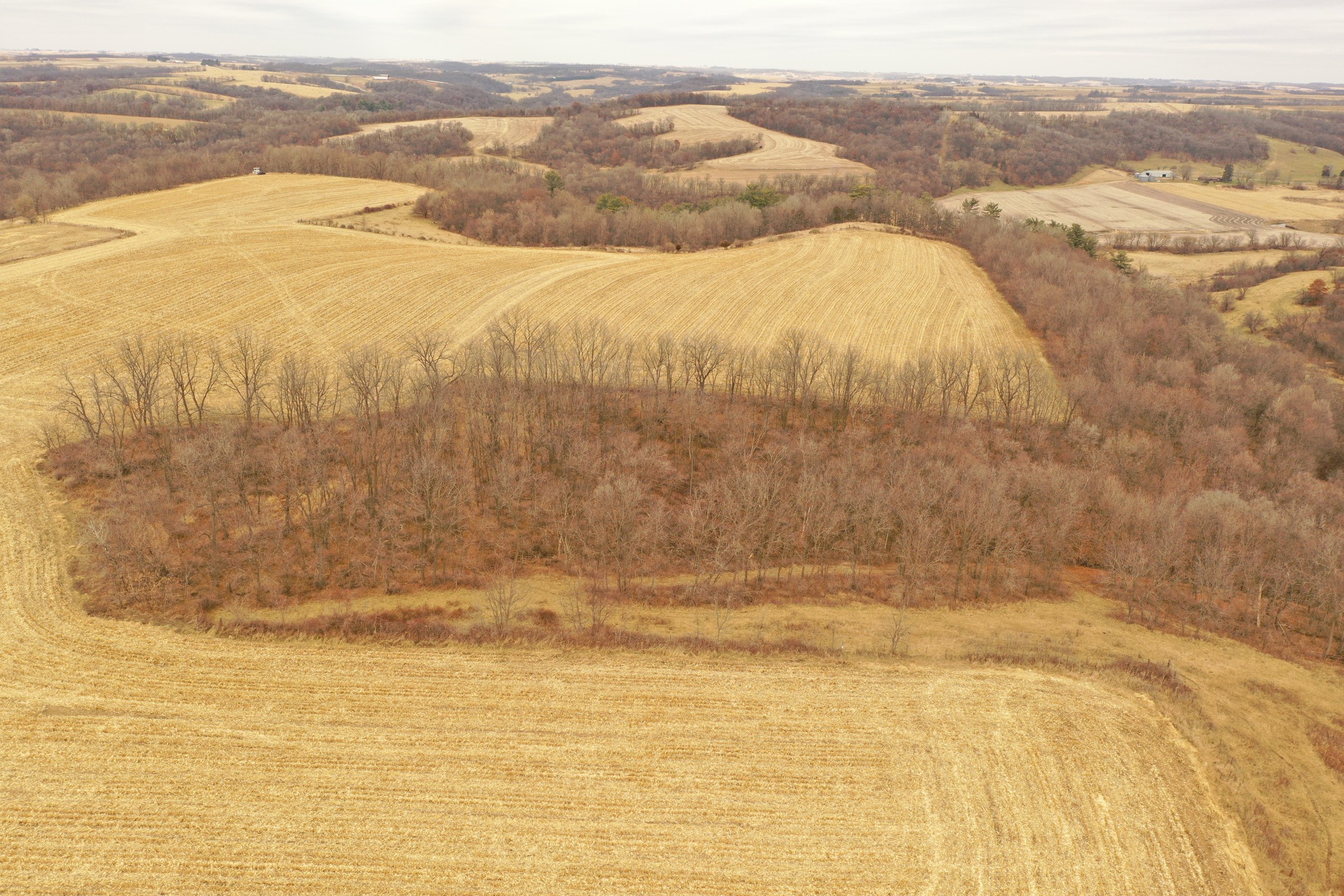 land-grant-county-wisconsin-190-acres-listing-number-16554-DJI_0349-4.jpg