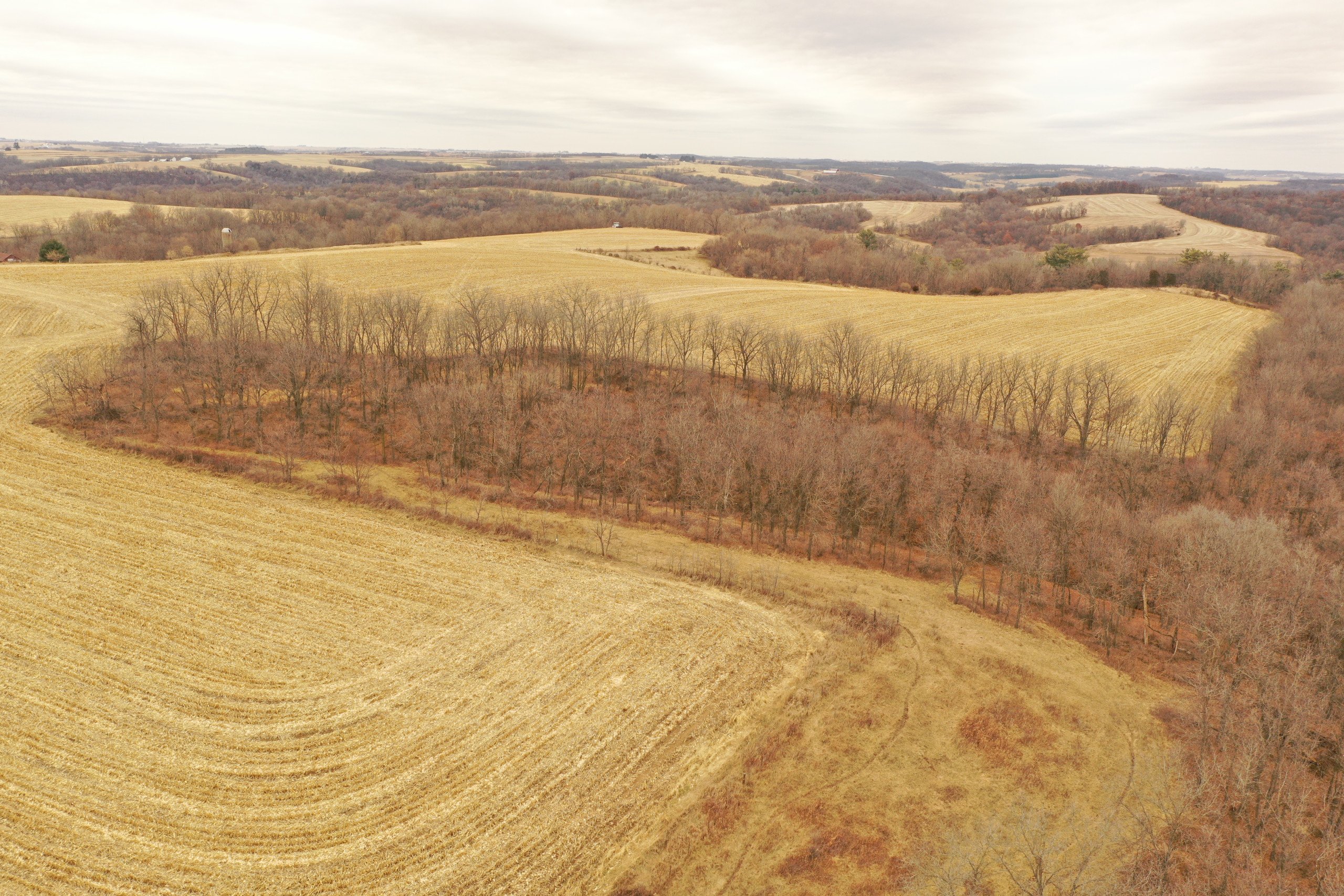 land-grant-county-wisconsin-190-acres-listing-number-16554-DJI_0370-0.jpg