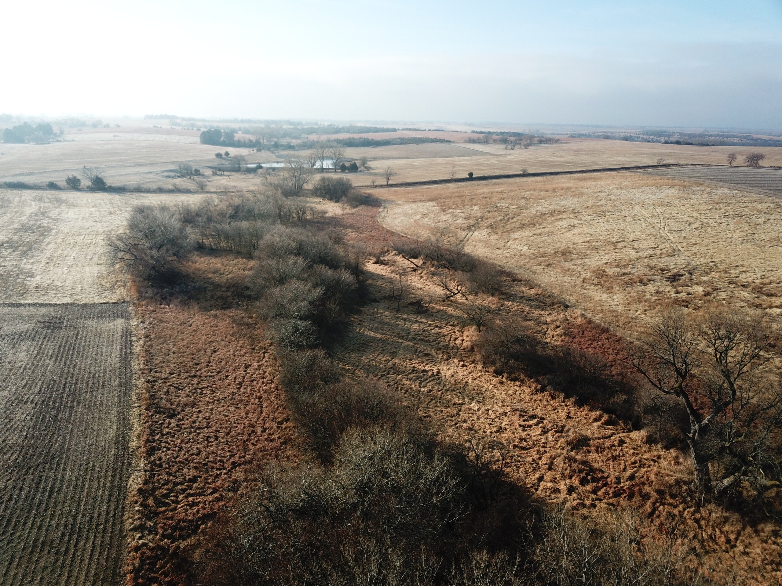 land-lancaster-county-nebraska-20-acres-listing-number-16560-2281EAFD933A5EE7231E1DA86F5A2BD3-9.jpg