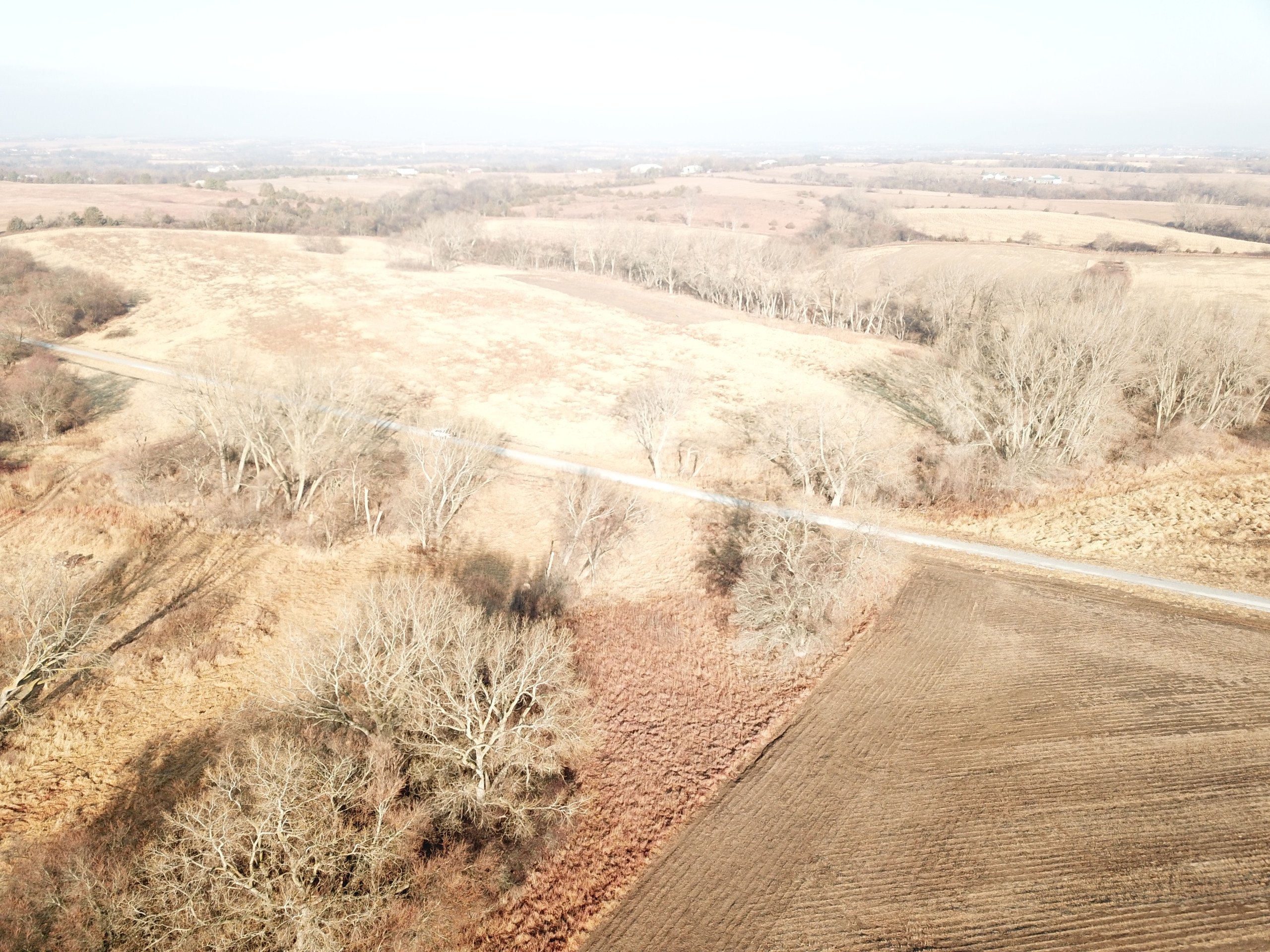 land-lancaster-county-nebraska-20-acres-listing-number-16560-6CFF95B3E462FD83DCA10117A9546BE5-0.jpg