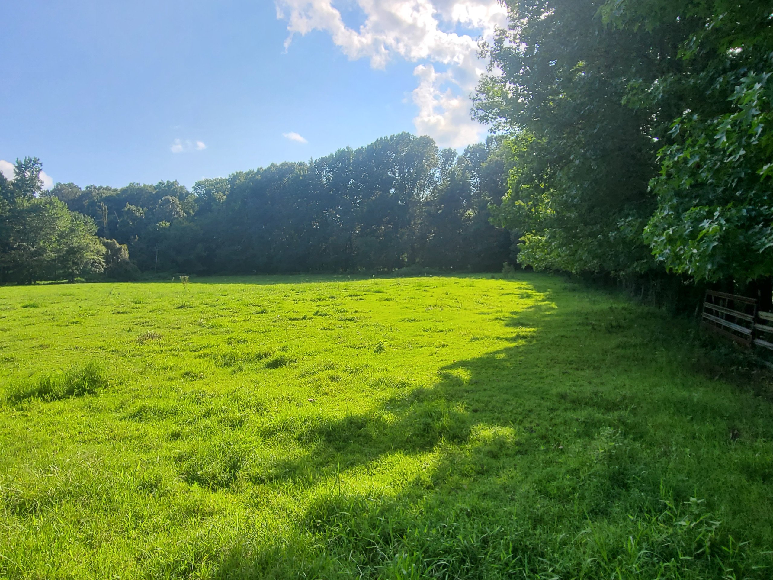 Spring  Pasture