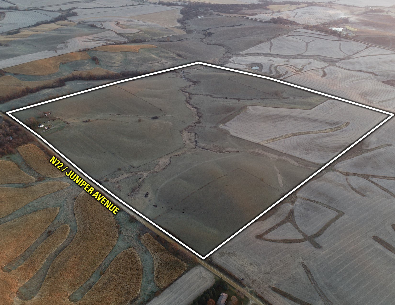 Guthrie County, Iowa Farmland For Sale