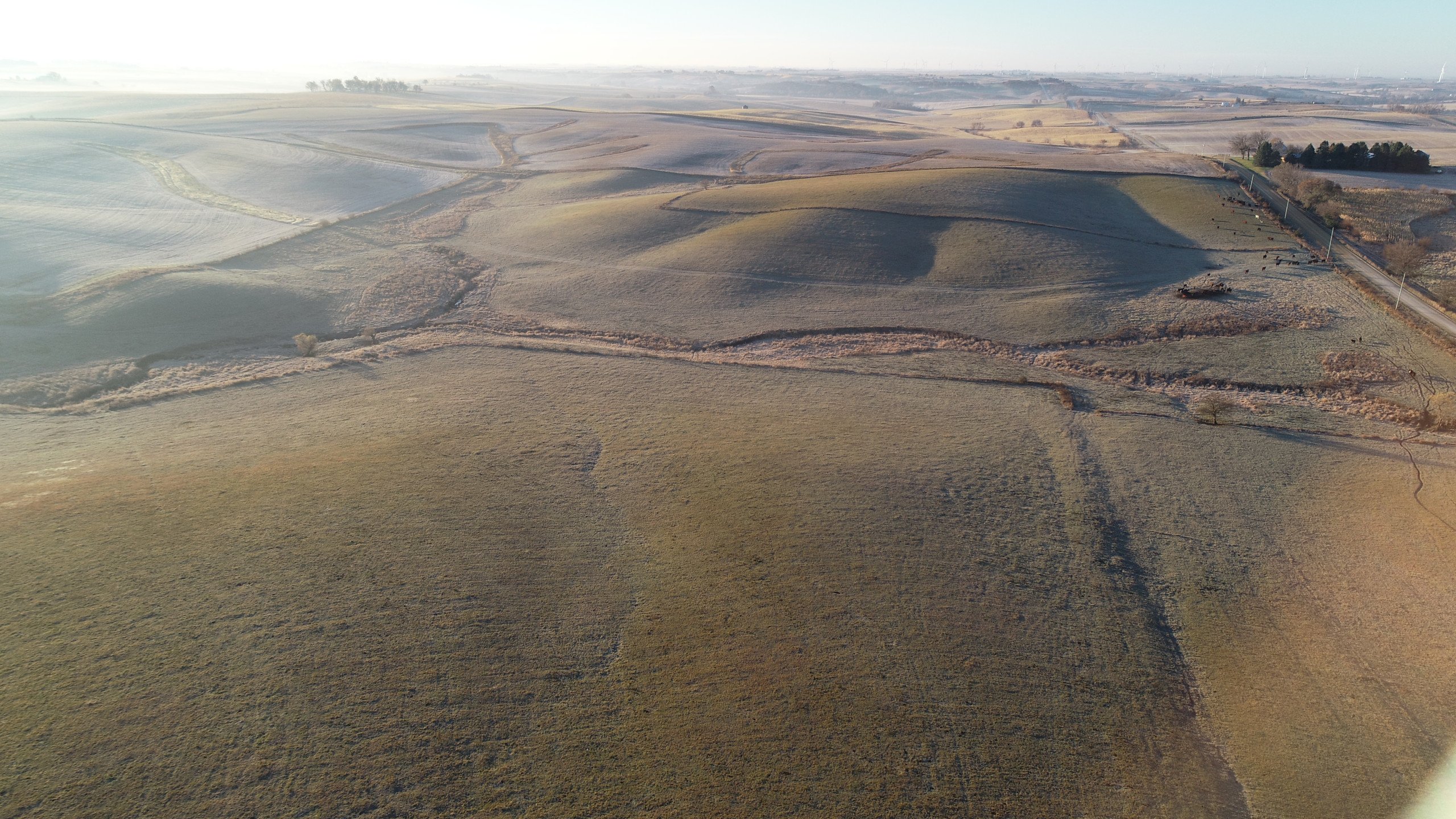 Guthrie County, Iowa Farmland For Sale