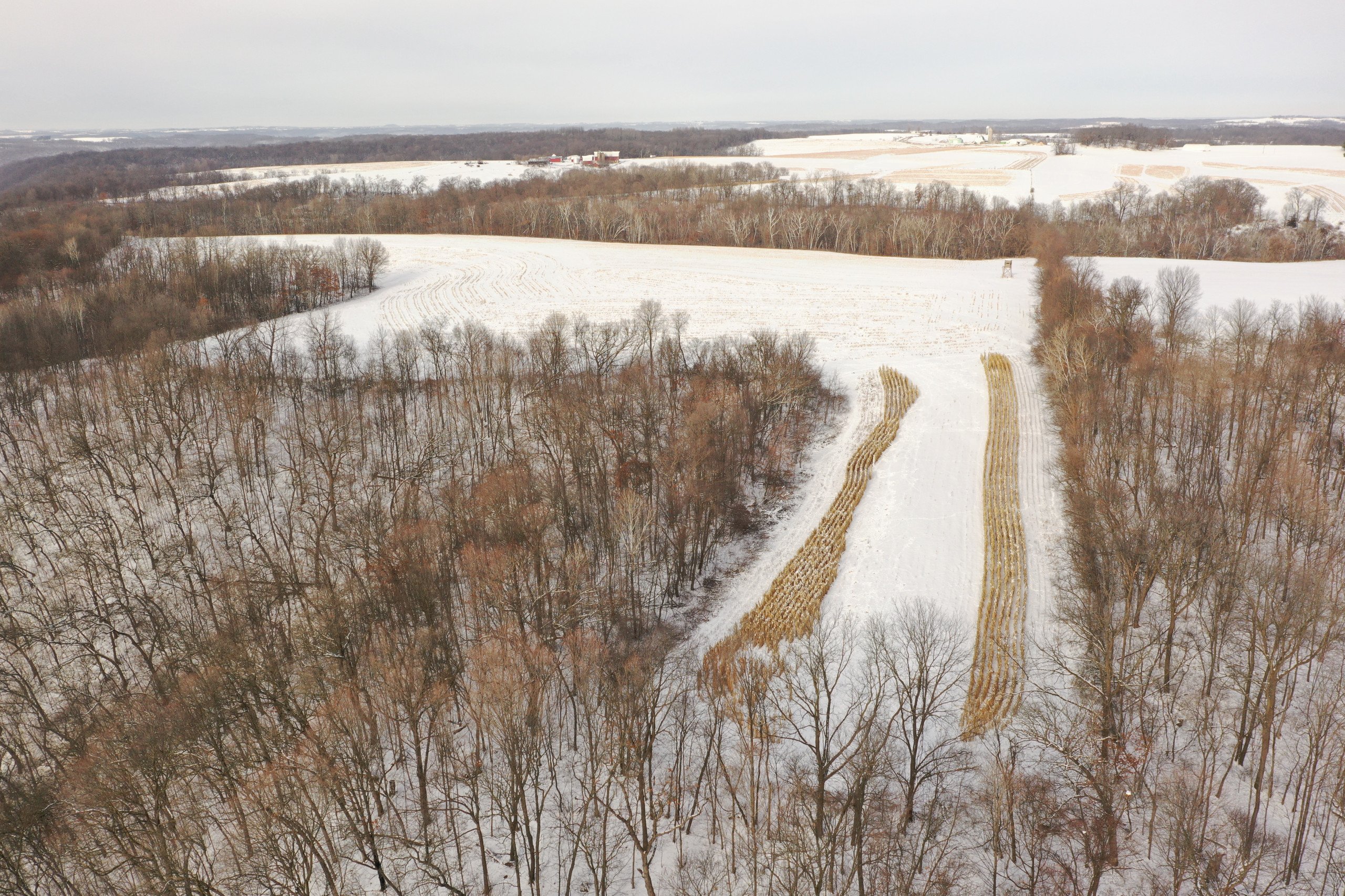land-grant-county-wisconsin-55-acres-listing-number-16575-DJI_0478-1.jpg