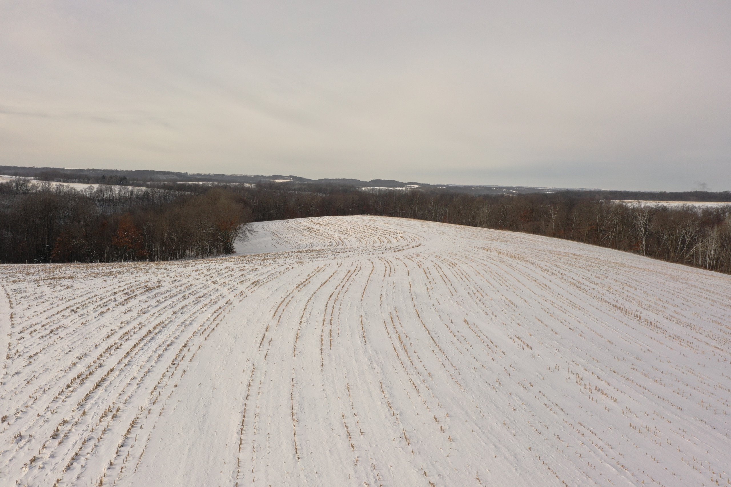land-grant-county-wisconsin-55-acres-listing-number-16575-DJI_0479-2.jpg