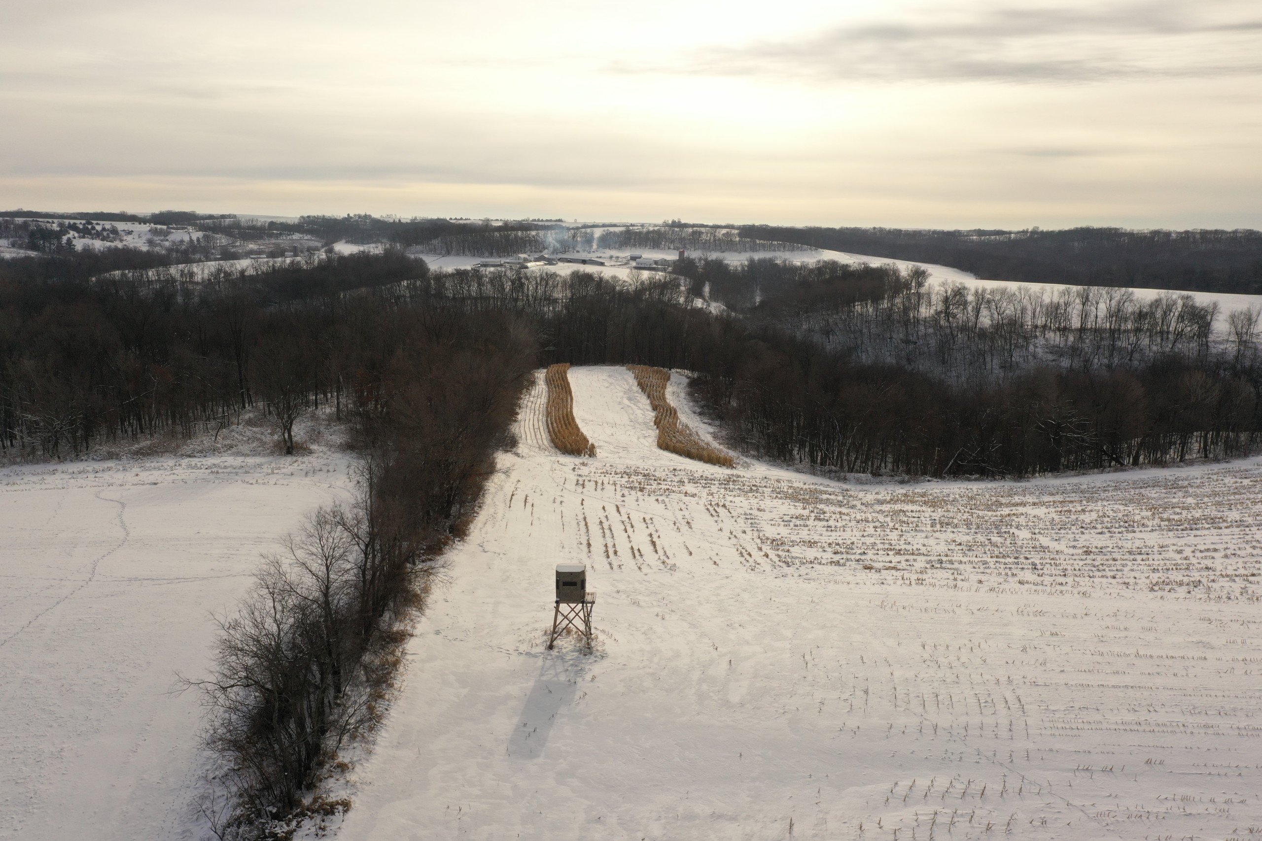 land-grant-county-wisconsin-55-acres-listing-number-16575-DJI_0481-3.jpg