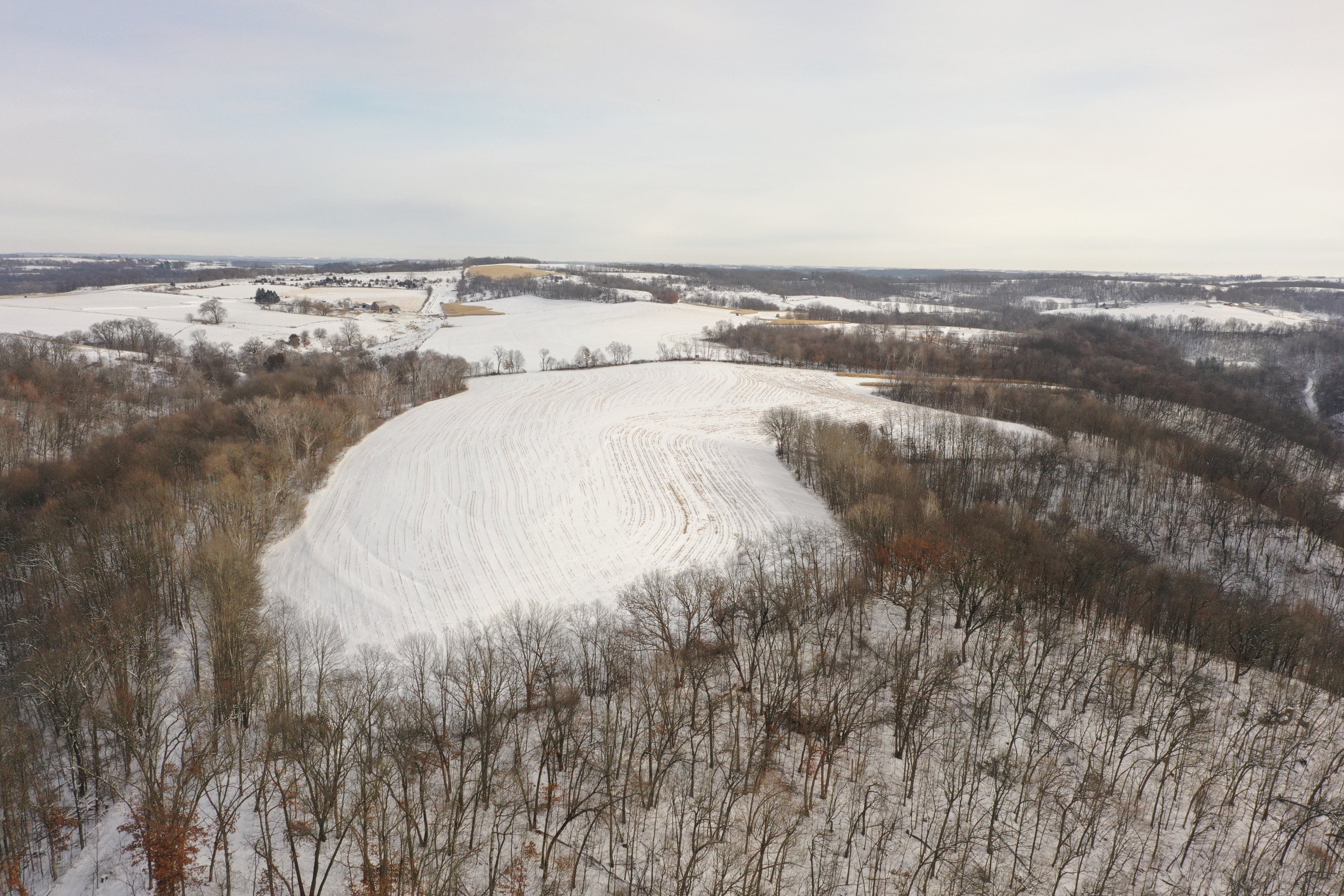land-grant-county-wisconsin-55-acres-listing-number-16575-DJI_0494-1.jpg
