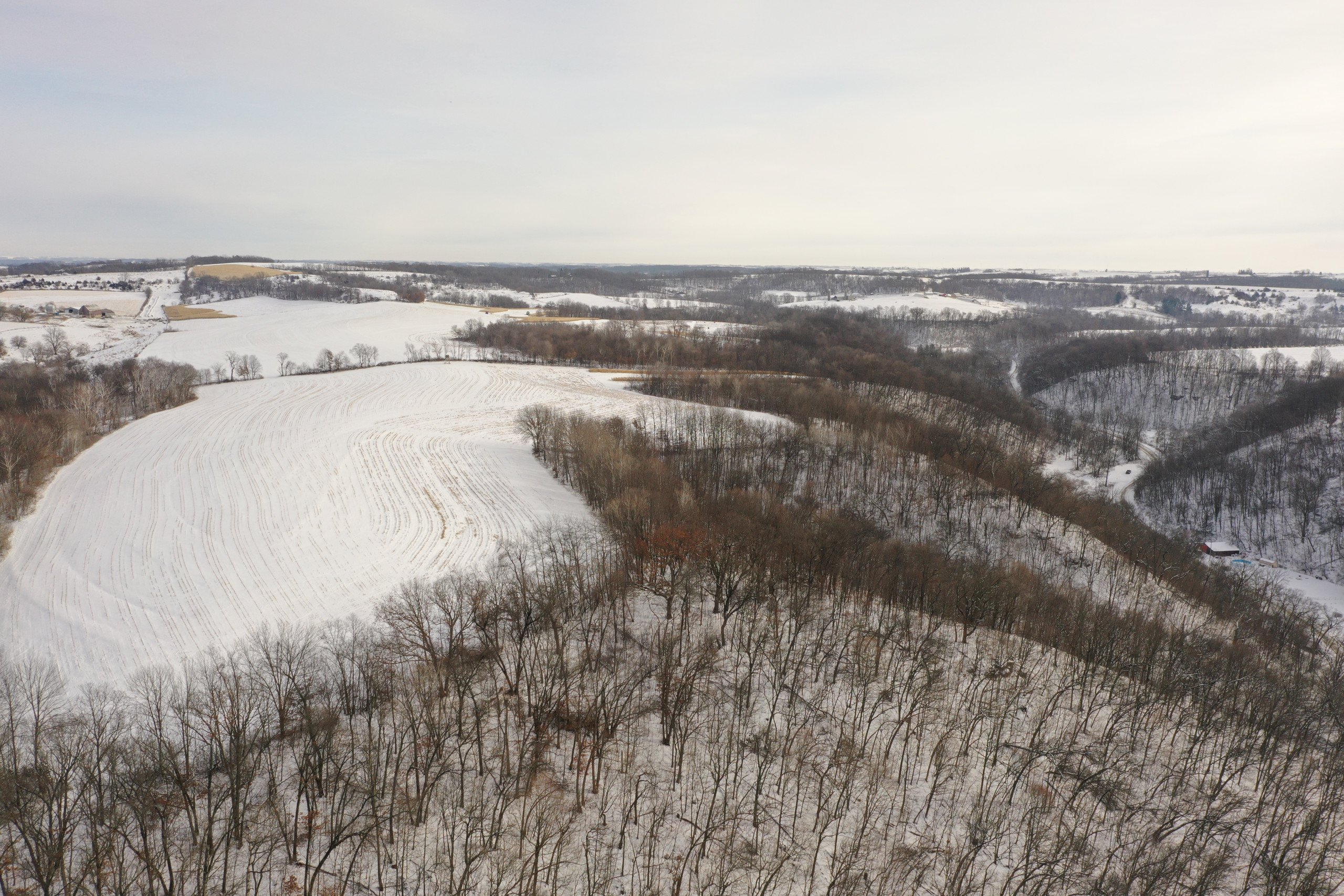 land-grant-county-wisconsin-55-acres-listing-number-16575-DJI_0495-1.jpg