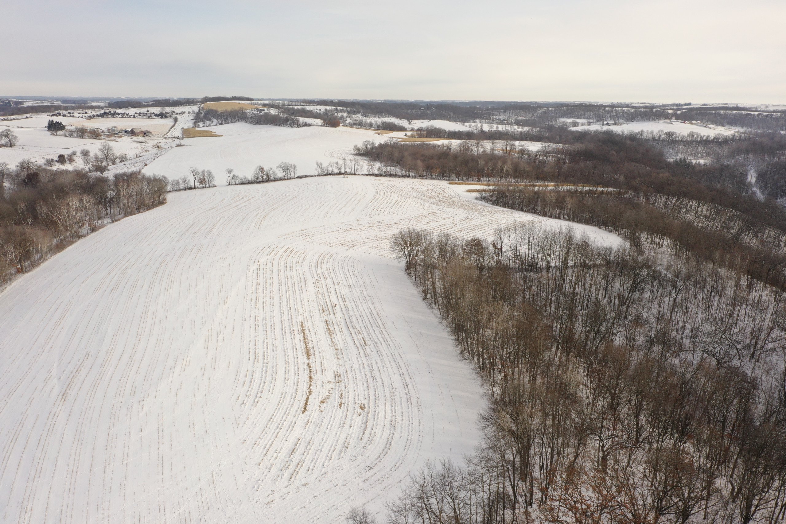 land-grant-county-wisconsin-55-acres-listing-number-16575-DJI_0497-1.jpg