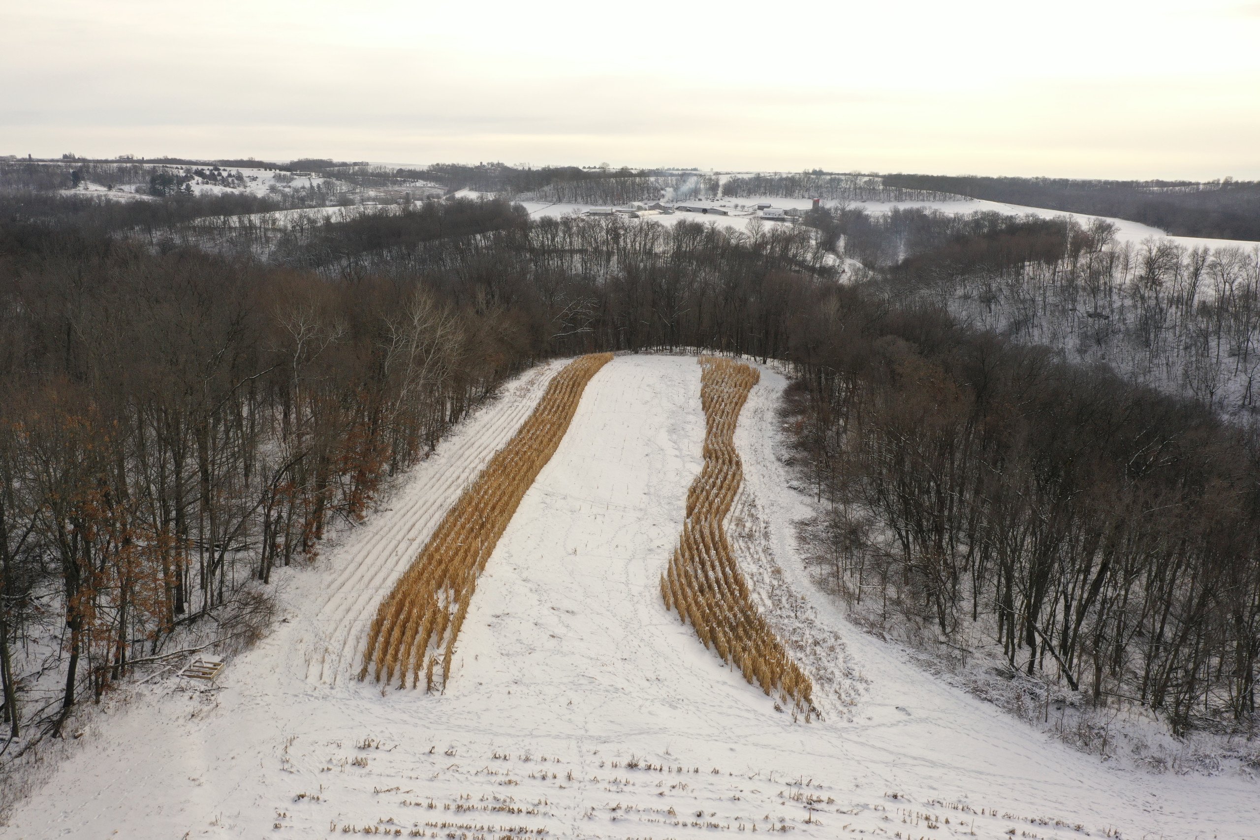 land-grant-county-wisconsin-55-acres-listing-number-16575-DJI_0502-3.jpg