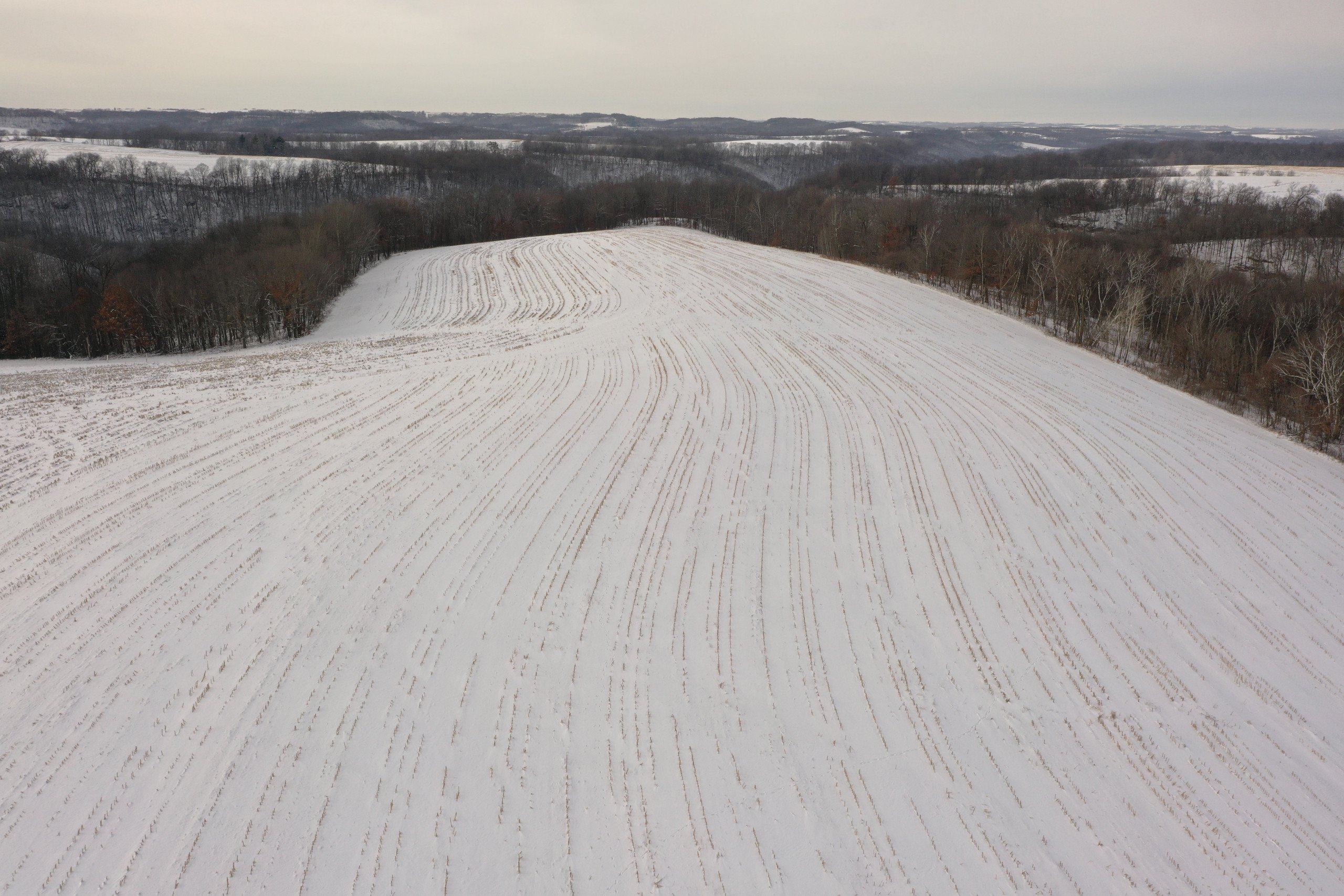 land-grant-county-wisconsin-55-acres-listing-number-16575-DJI_0505-2.jpg