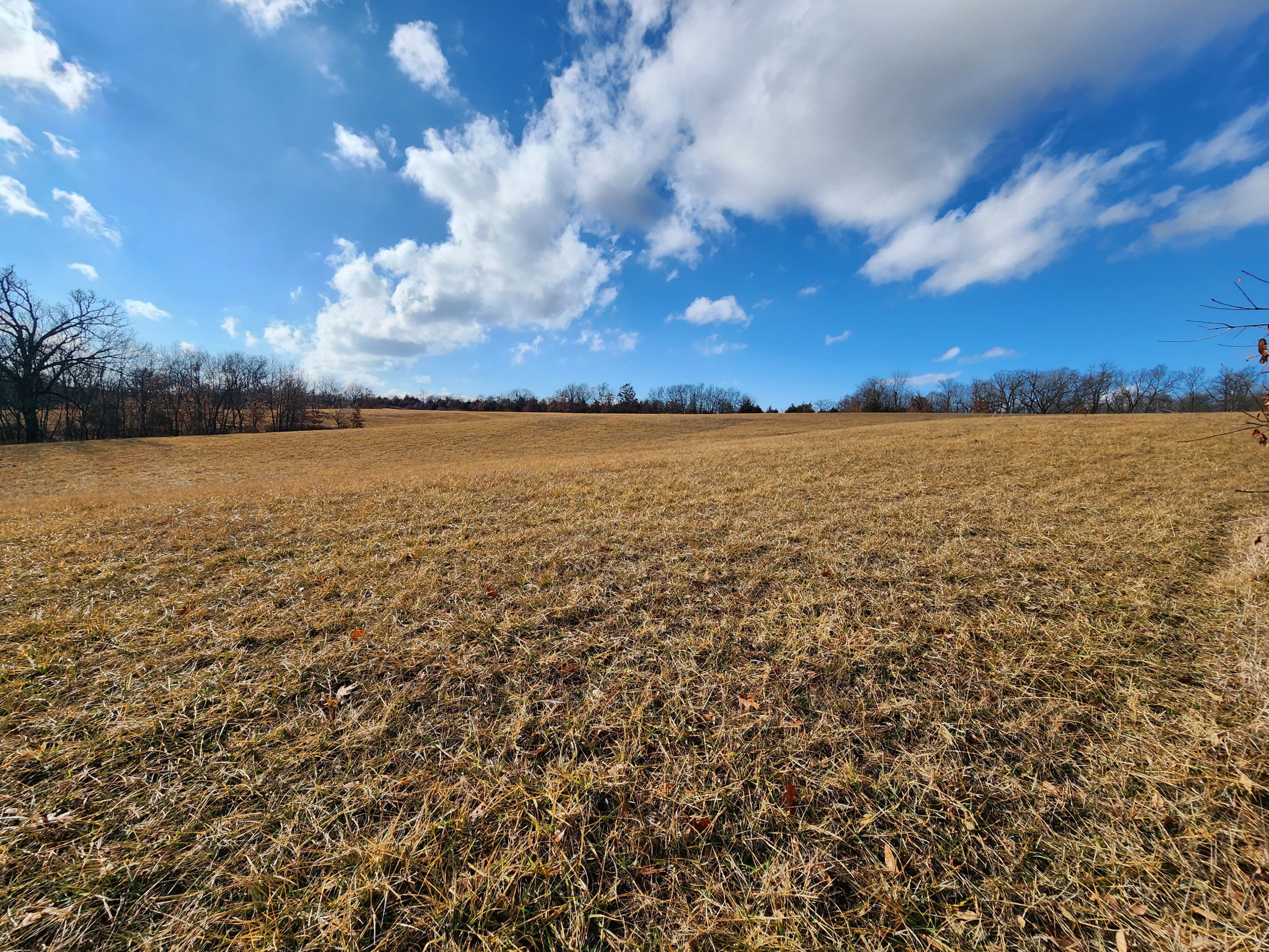 Davis County, Iowa Land For Sale
