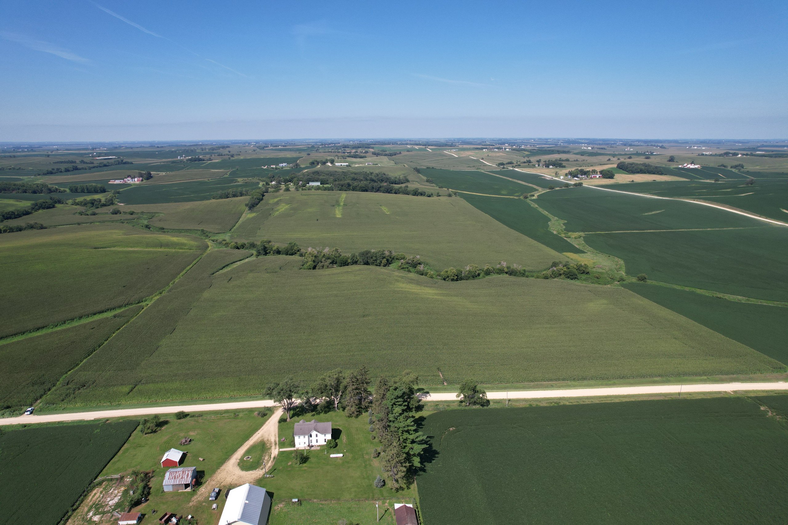 auctions-clinton-county-iowa-80-acres-listing-number-16604-2022-08-18 10-1.jpg