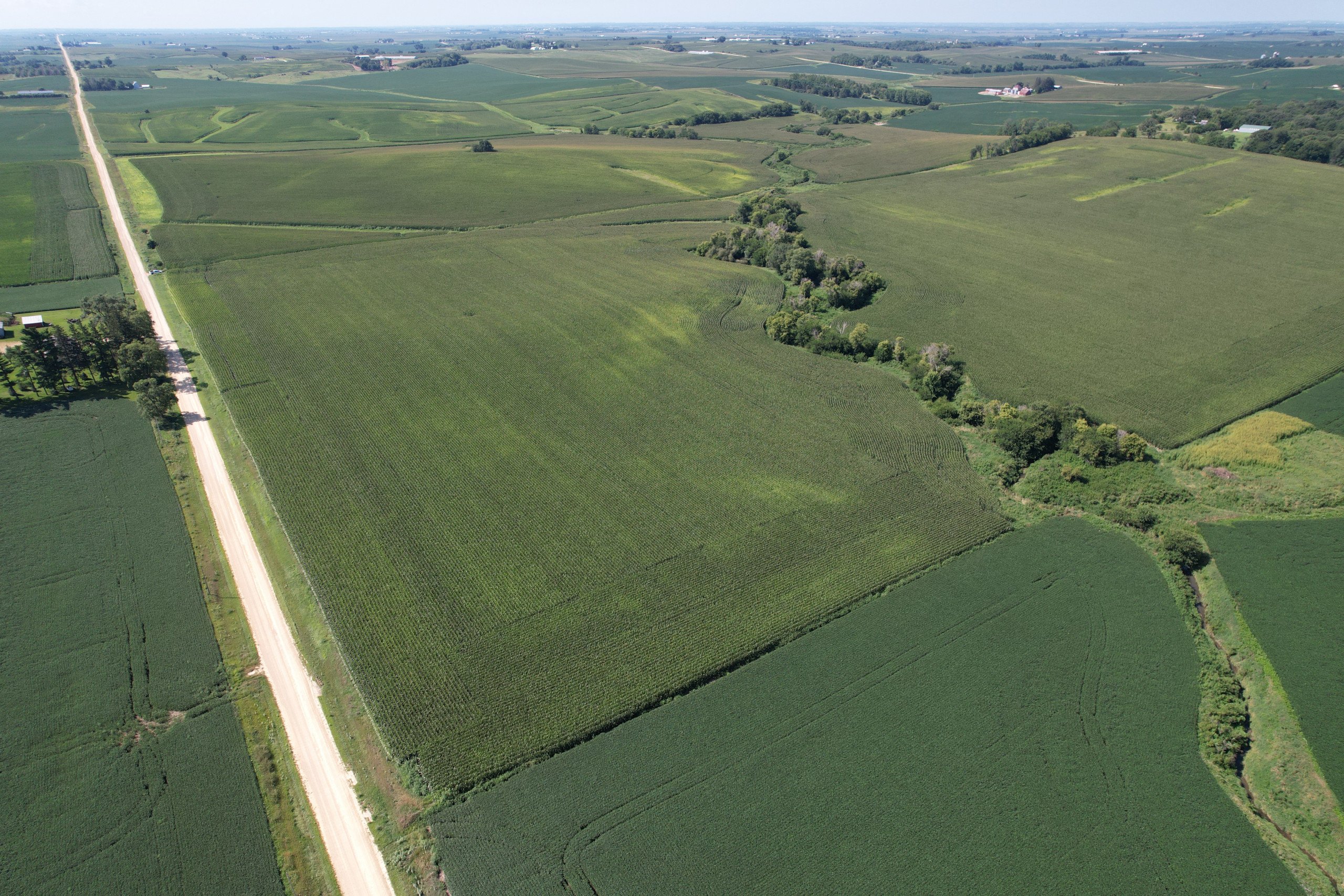 auctions-clinton-county-iowa-80-acres-listing-number-16604-2022-08-18 10-2.jpg
