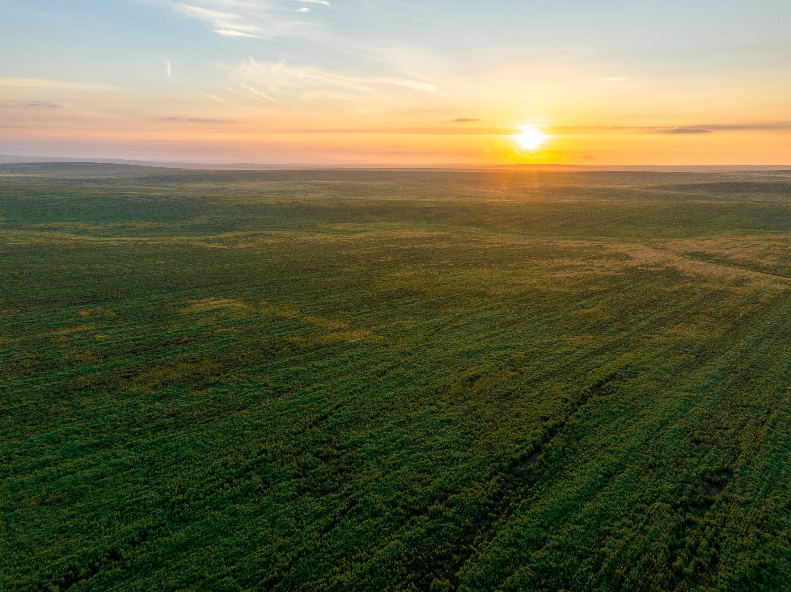 auctions-stanley-county-south-dakota-34000-acres-listing-number-16610-DJI_0422-1-4.jpg