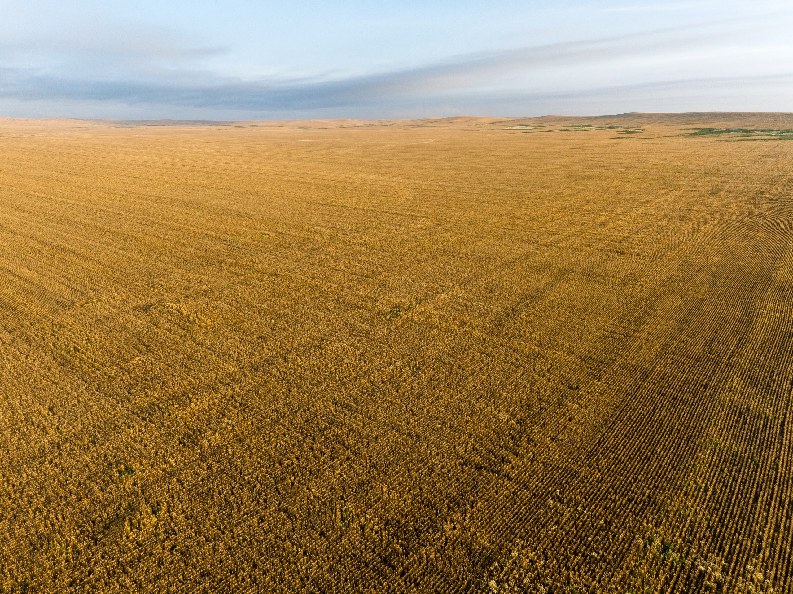 auctions-stanley-county-south-dakota-34000-acres-listing-number-16610-DJI_0487-1-4.jpg