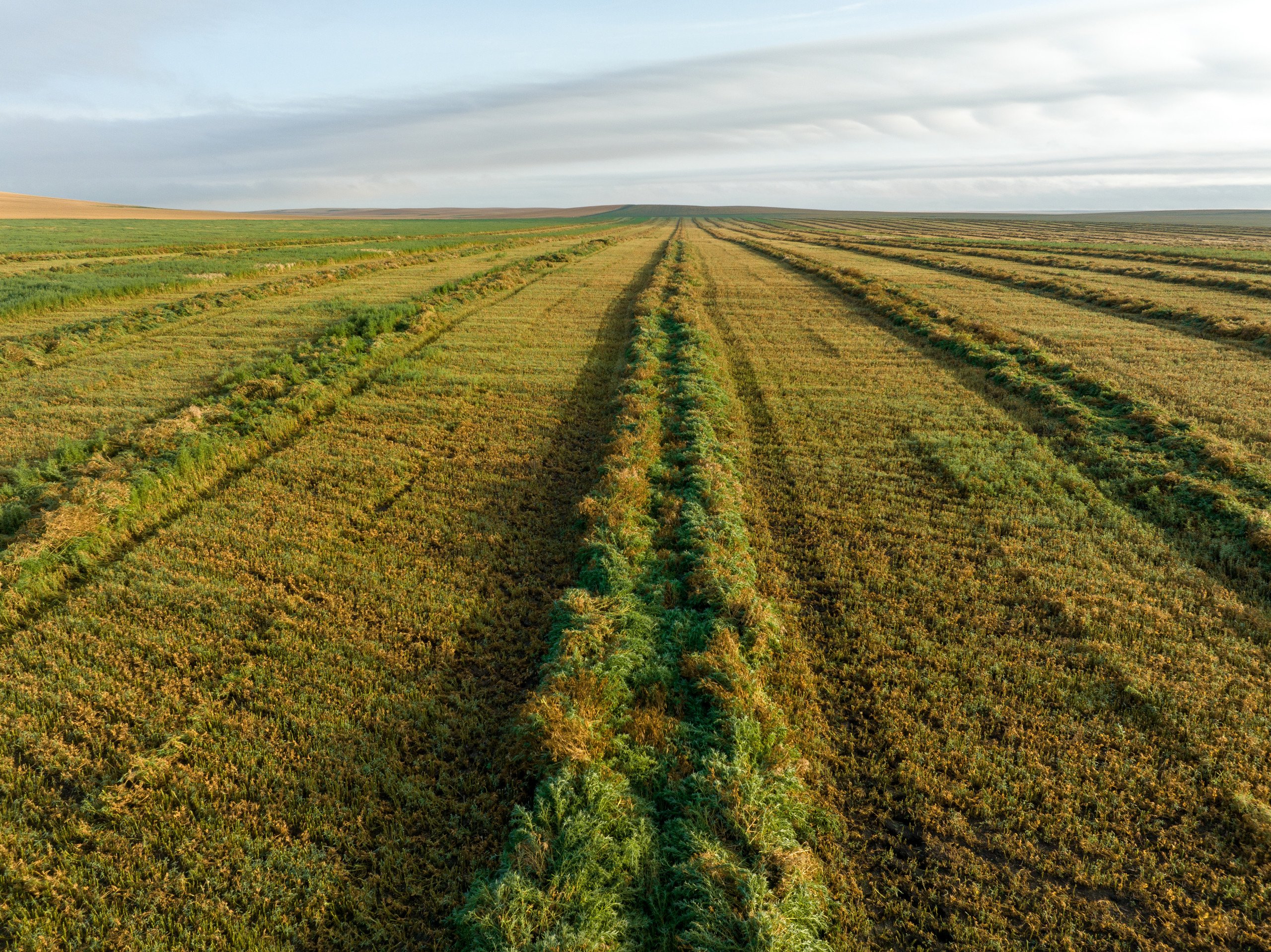 auctions-stanley-county-south-dakota-34000-acres-listing-number-16610-DJI_0521-0.jpg