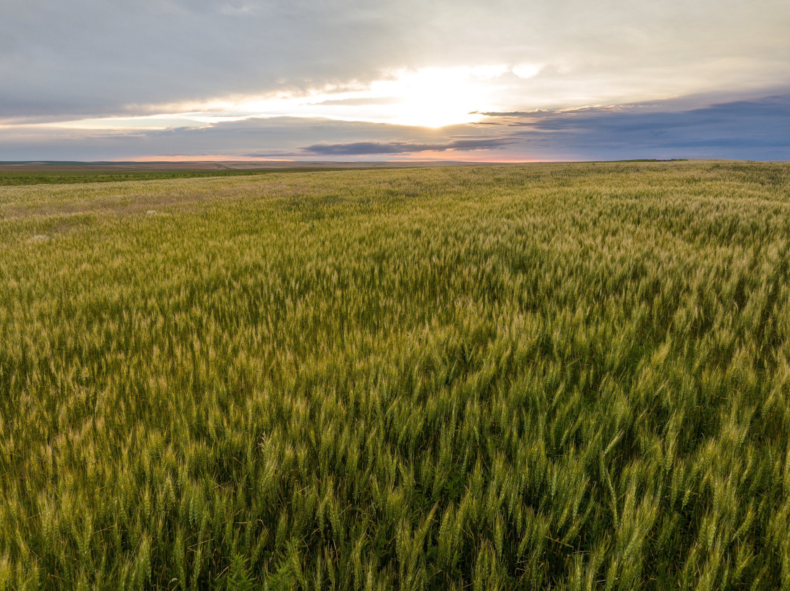 stanley-county-south-dakota-34000-acres-listing-number-16610-DJI_0325-4.jpg