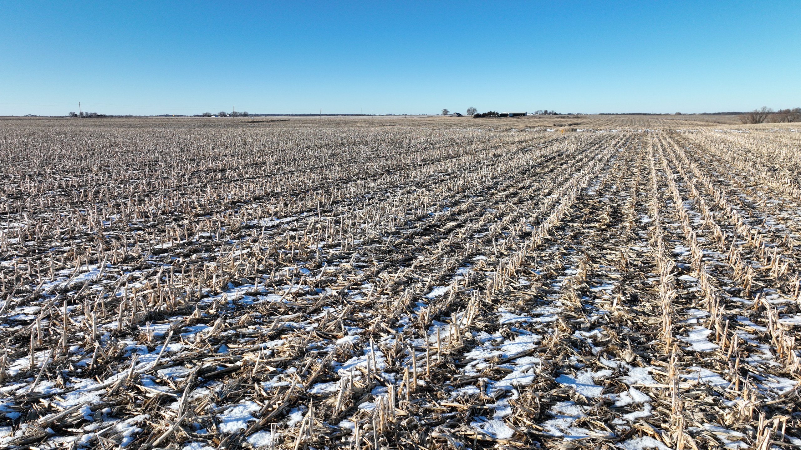 Wayne County, Iowa Farmland For Sale