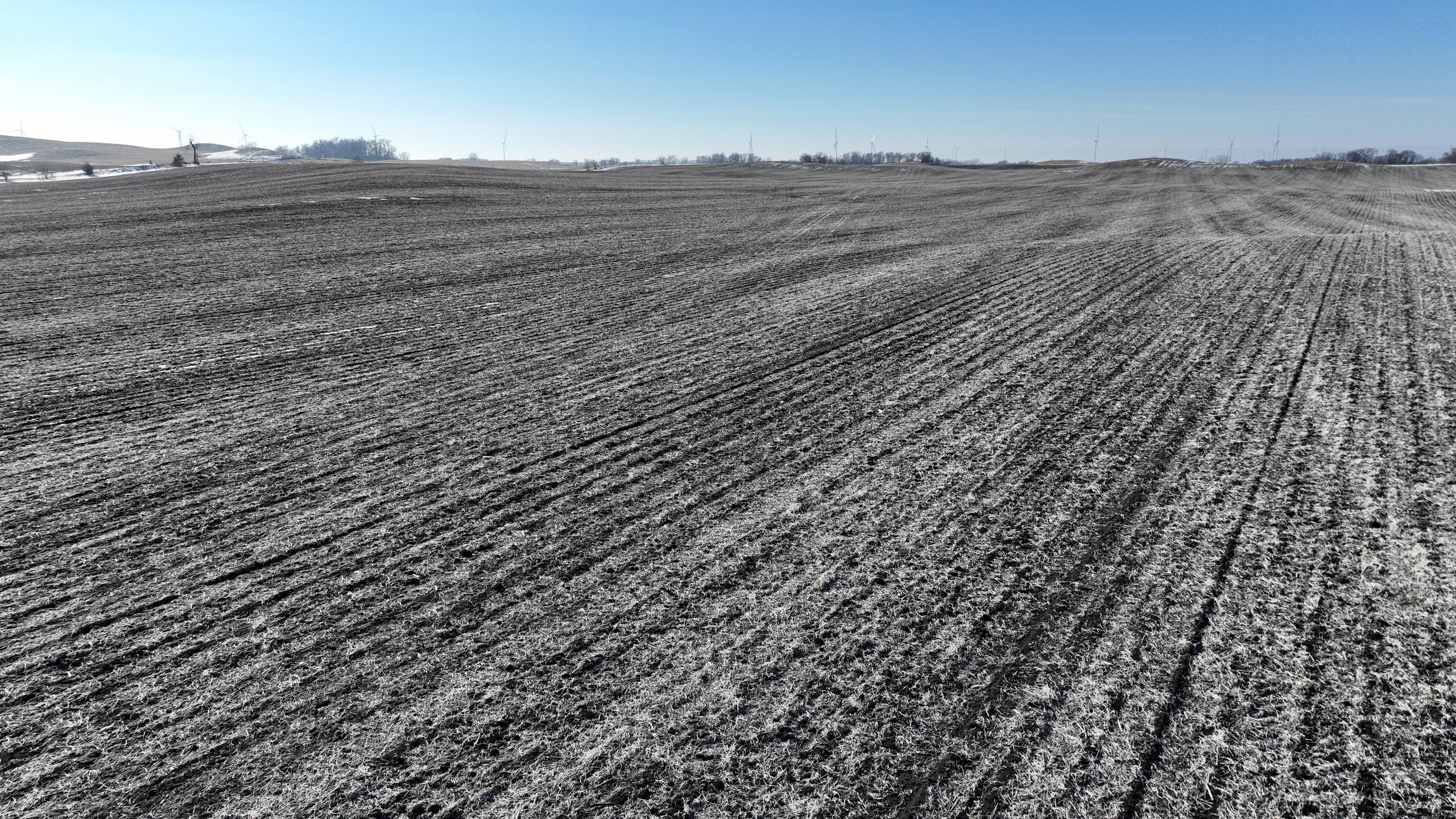 auctions-land-boone-county-iowa-72-acres-listing-number-16614-DJI_0152-0.jpg