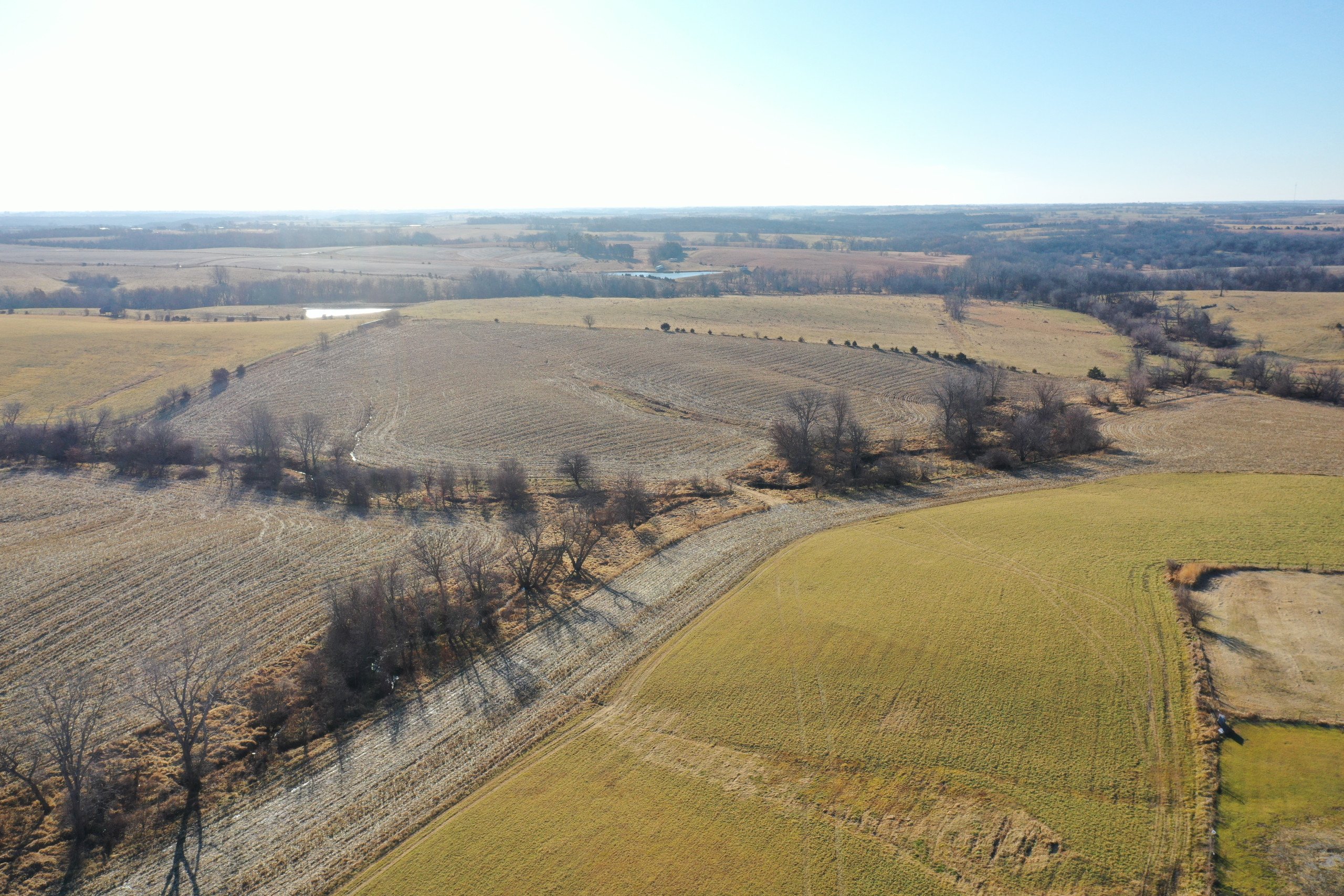 land-decatur-county-iowa-81-acres-listing-number-16618-DJI_0703-2.jpg