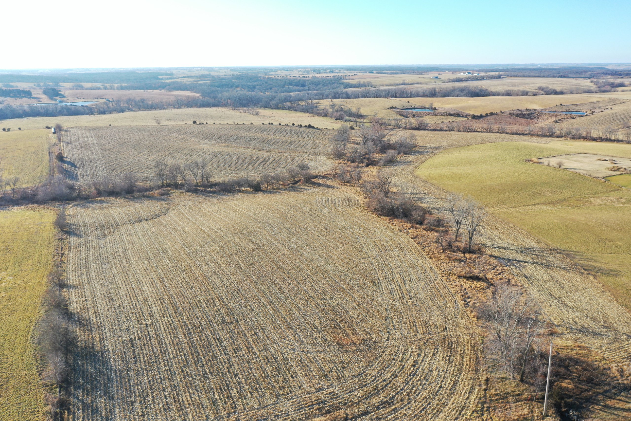 land-decatur-county-iowa-81-acres-listing-number-16618-DJI_0704-3.jpg