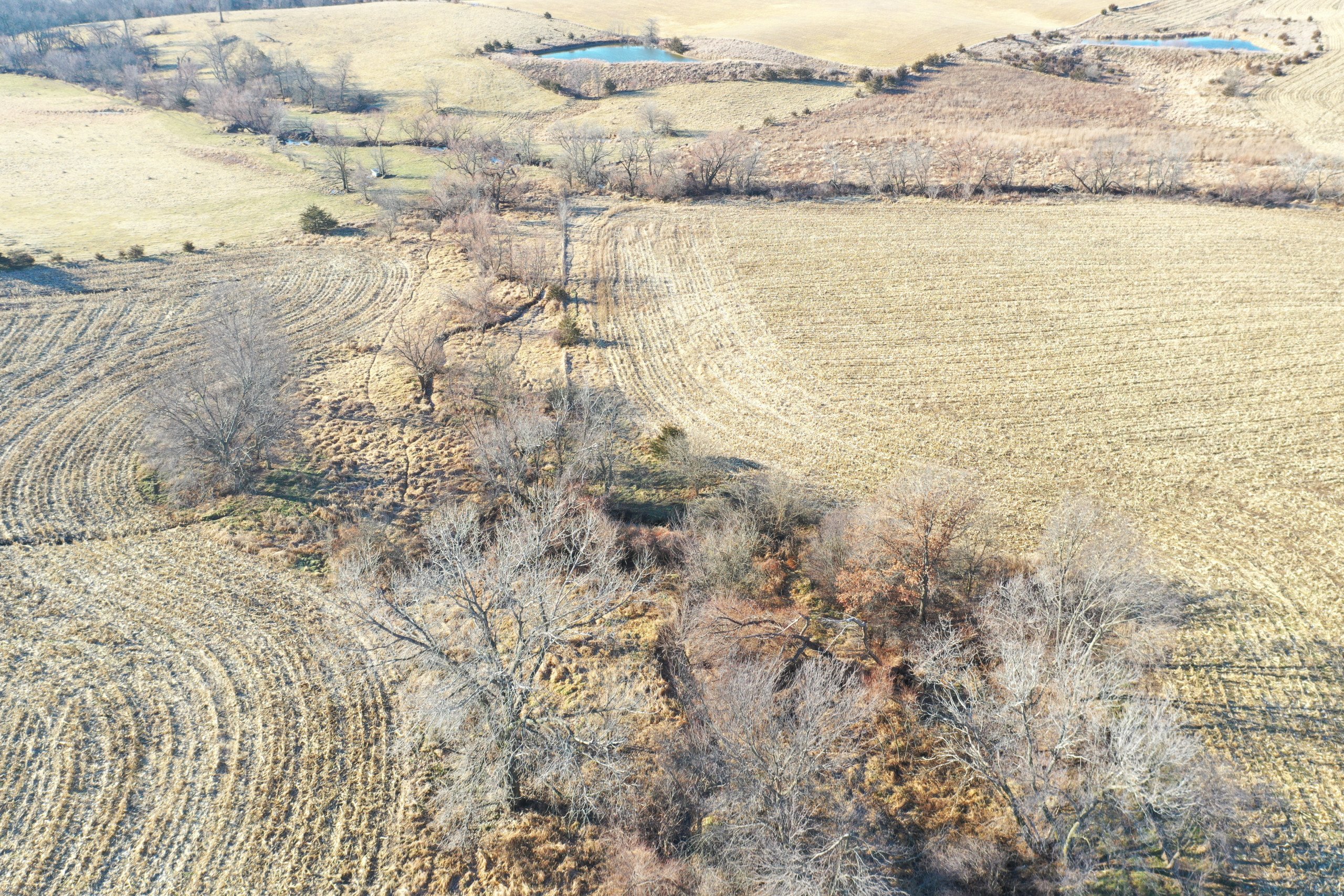 land-decatur-county-iowa-81-acres-listing-number-16618-DJI_0714-4.jpg