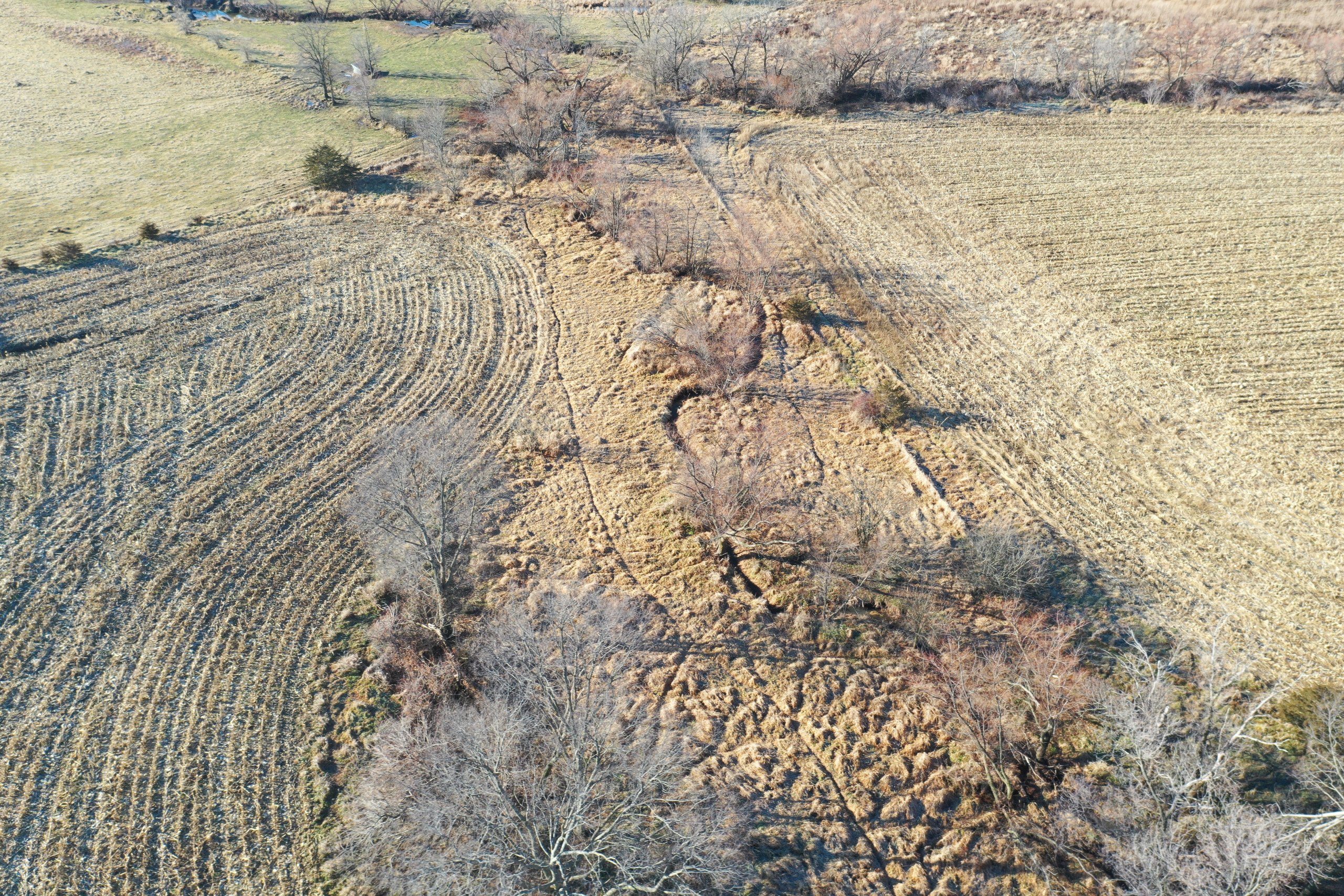 land-decatur-county-iowa-81-acres-listing-number-16618-DJI_0715-1.jpg