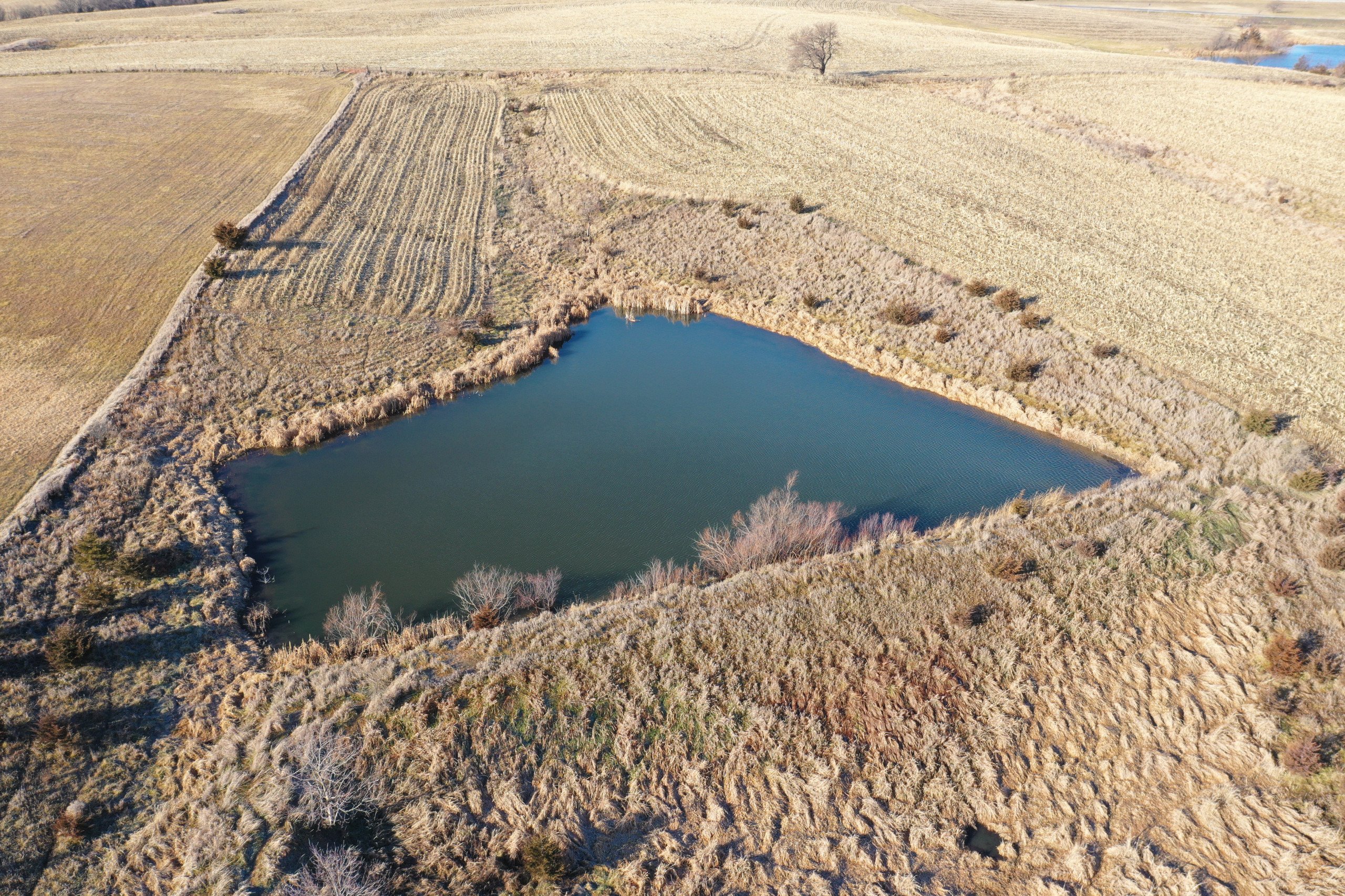 land-decatur-county-iowa-81-acres-listing-number-16618-DJI_0718-4.jpg