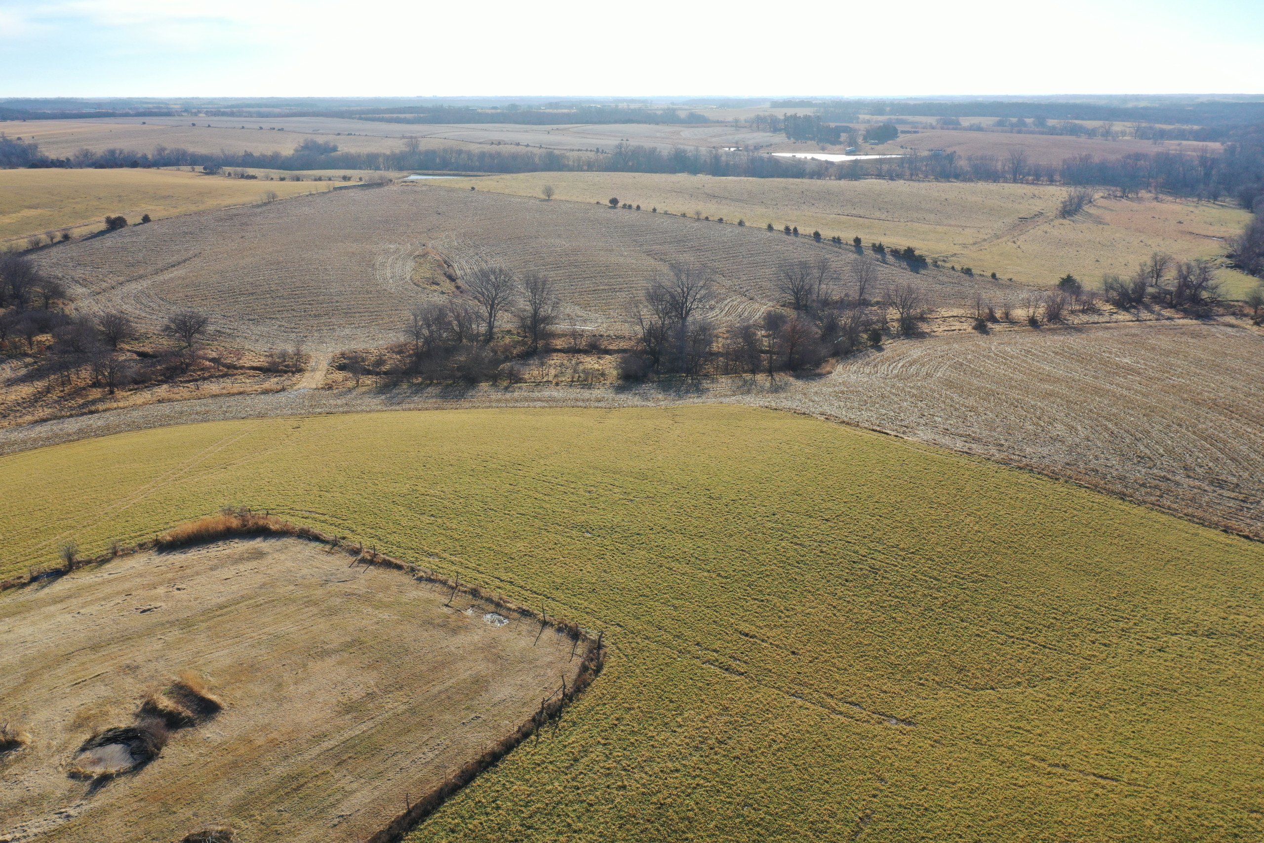 land-decatur-county-iowa-81-acres-listing-number-16618-DJI_0730-2.jpg