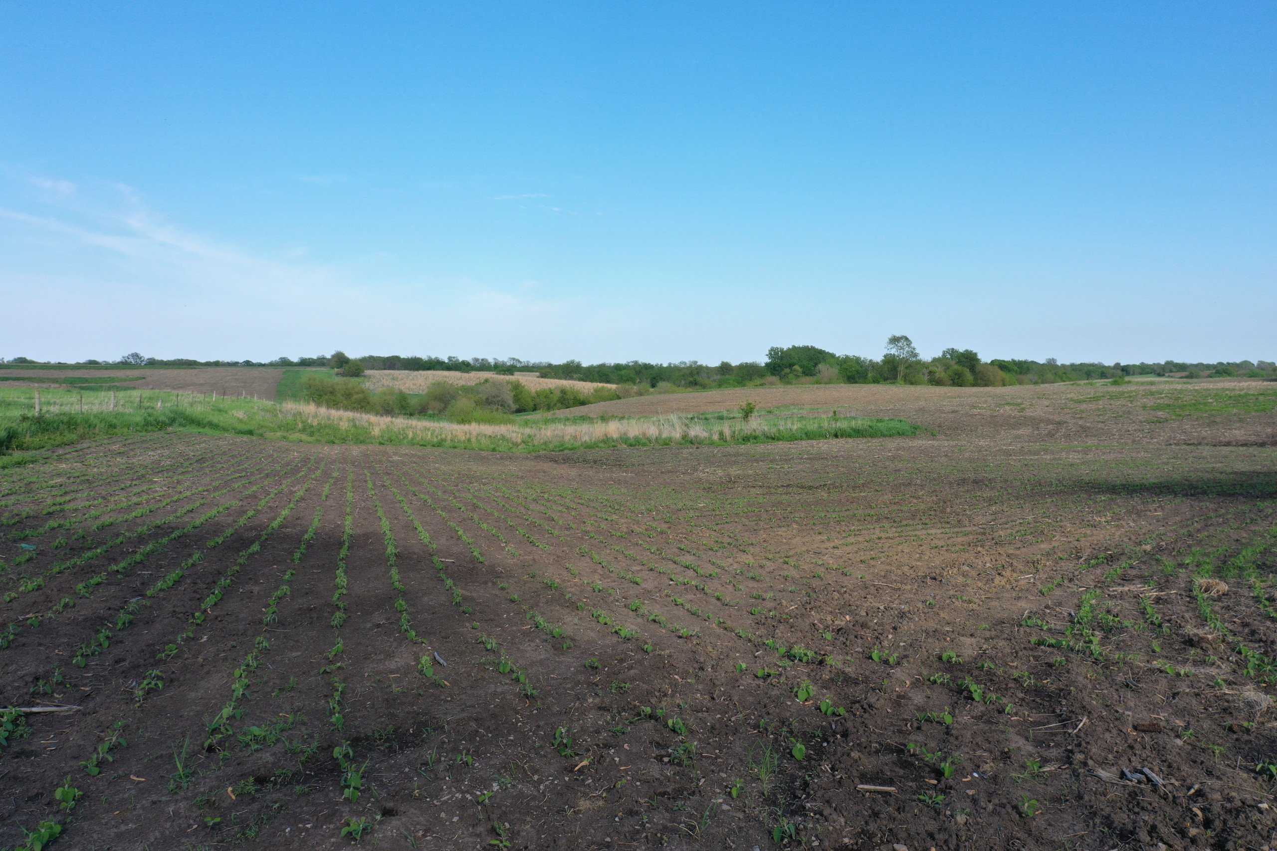 land-marion-county-iowa-155-acres-listing-number-16634-DJI_0343-0.jpg