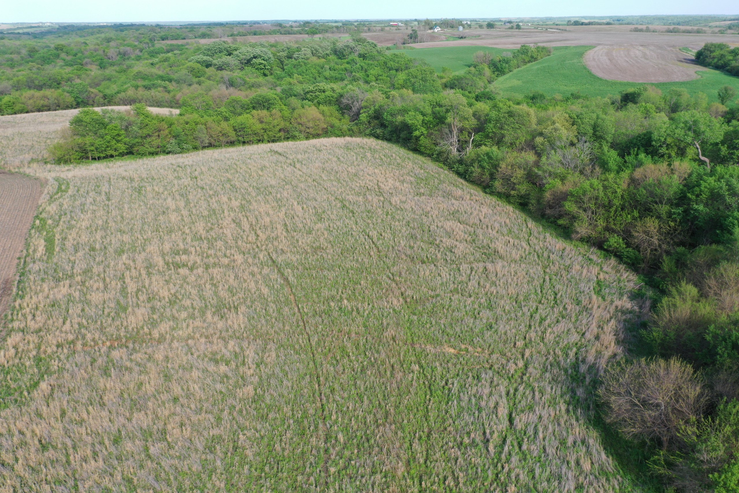 land-marion-county-iowa-155-acres-listing-number-16634-DJI_0373-1.jpg