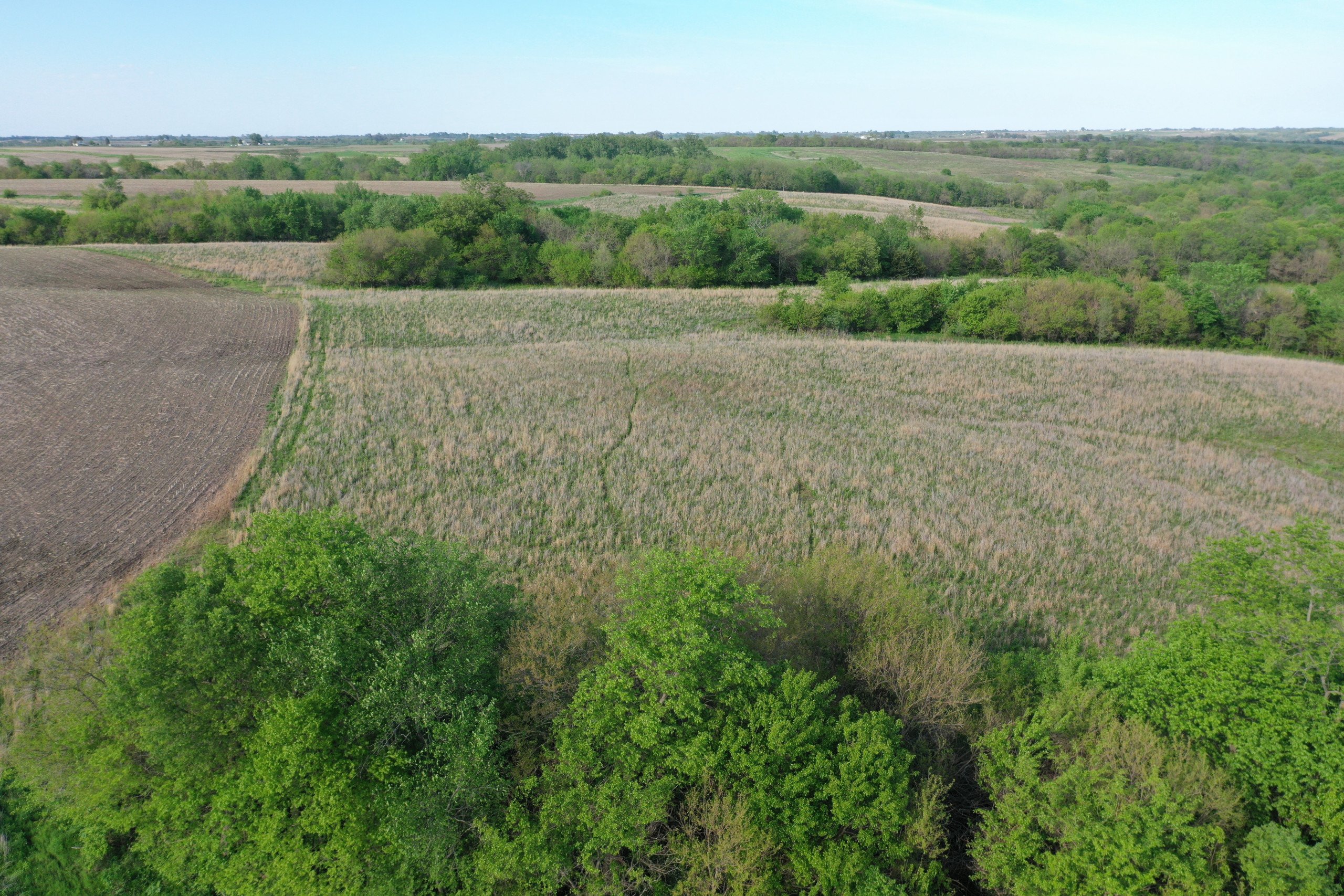 land-marion-county-iowa-155-acres-listing-number-16634-DJI_0375-2.jpg