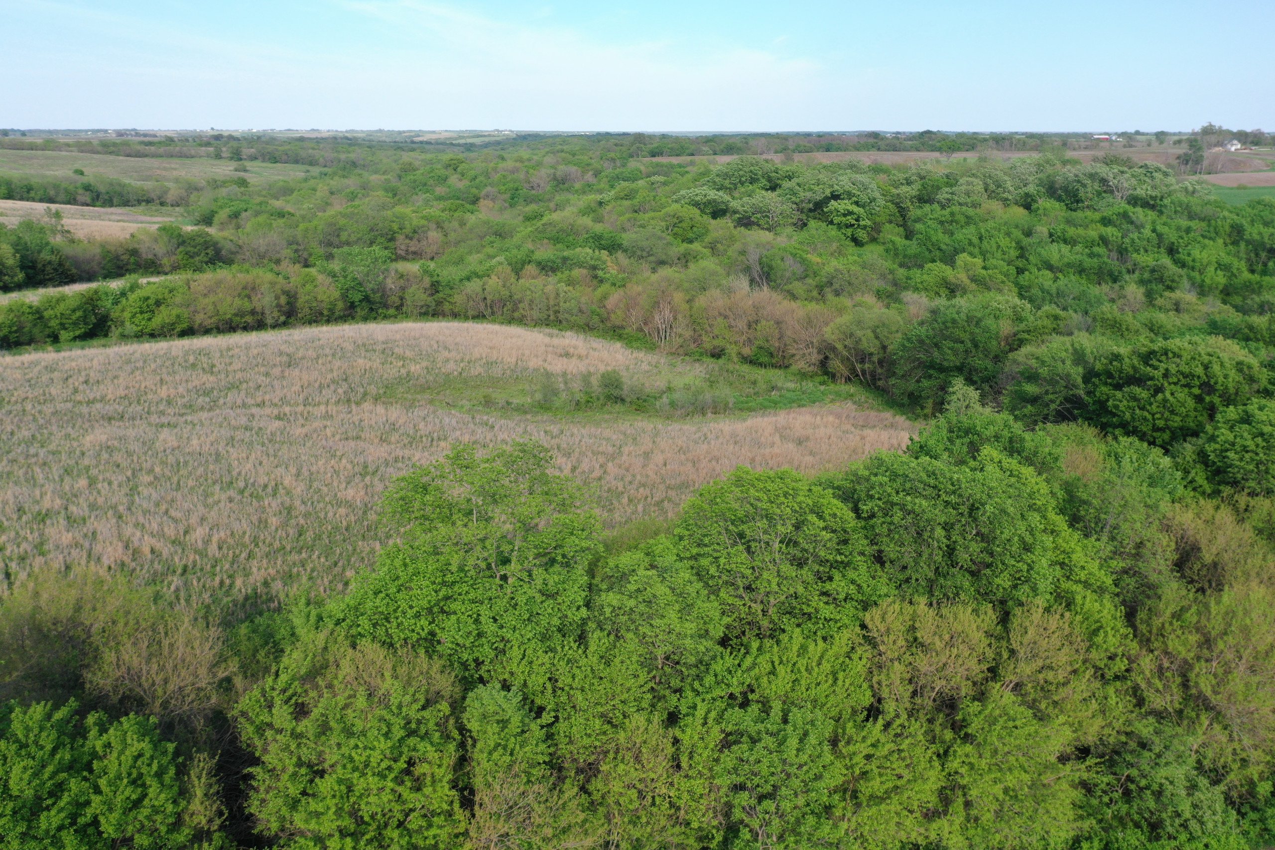 land-marion-county-iowa-155-acres-listing-number-16634-DJI_0376-3.jpg