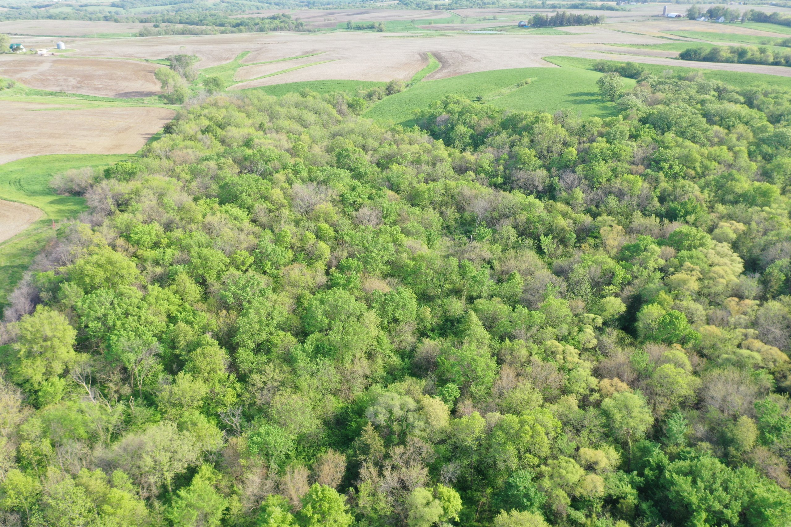 land-marion-county-iowa-155-acres-listing-number-16634-DJI_0389-2.jpg